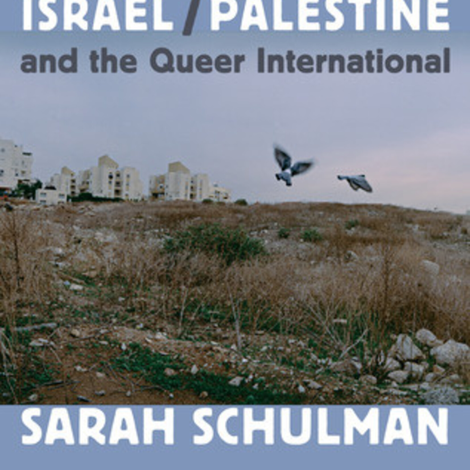 Sarah Schulman Israel/Palestine and the Queer International - Sarah Schulman