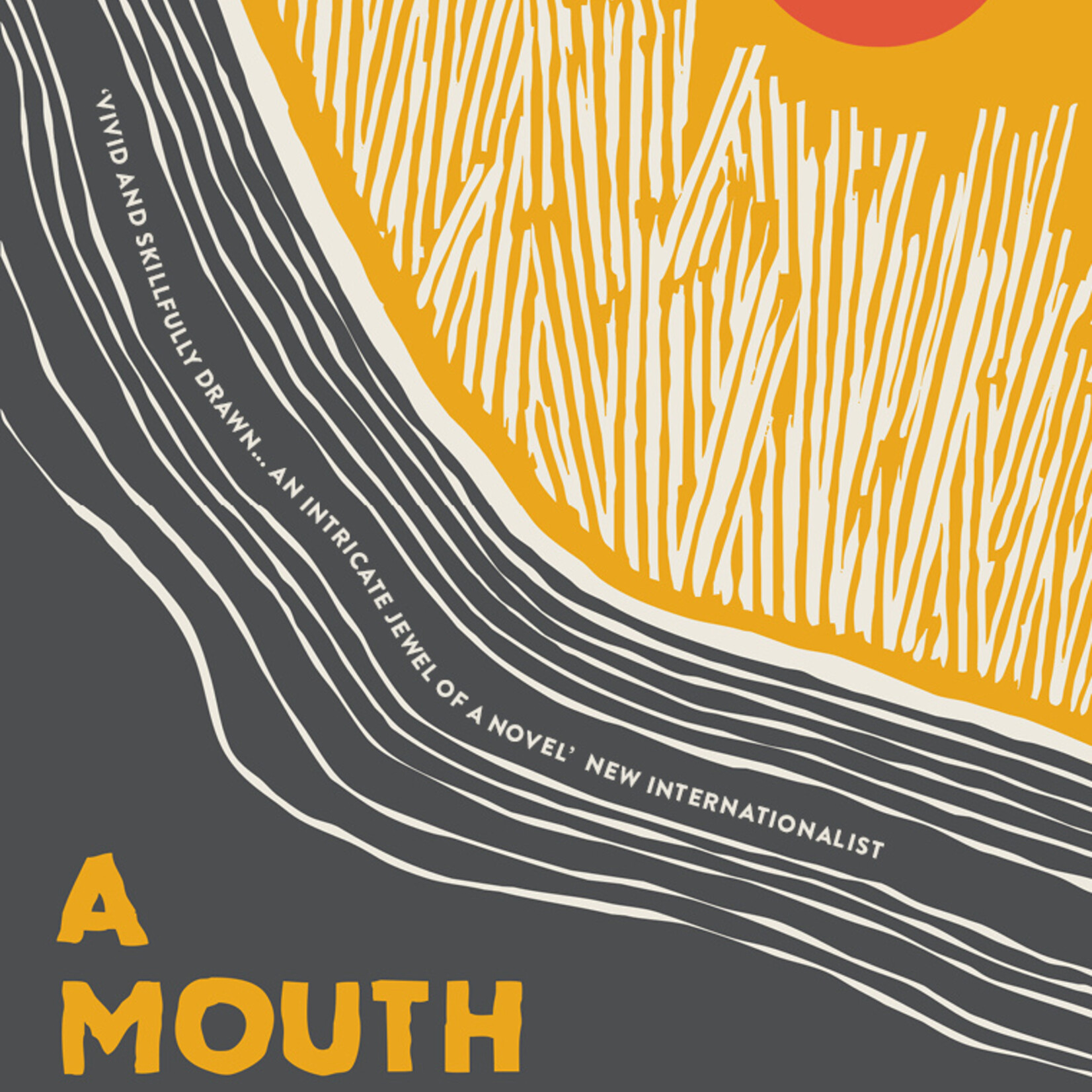 Reem Gaafar A Mouth Full of Salt (hardcover)