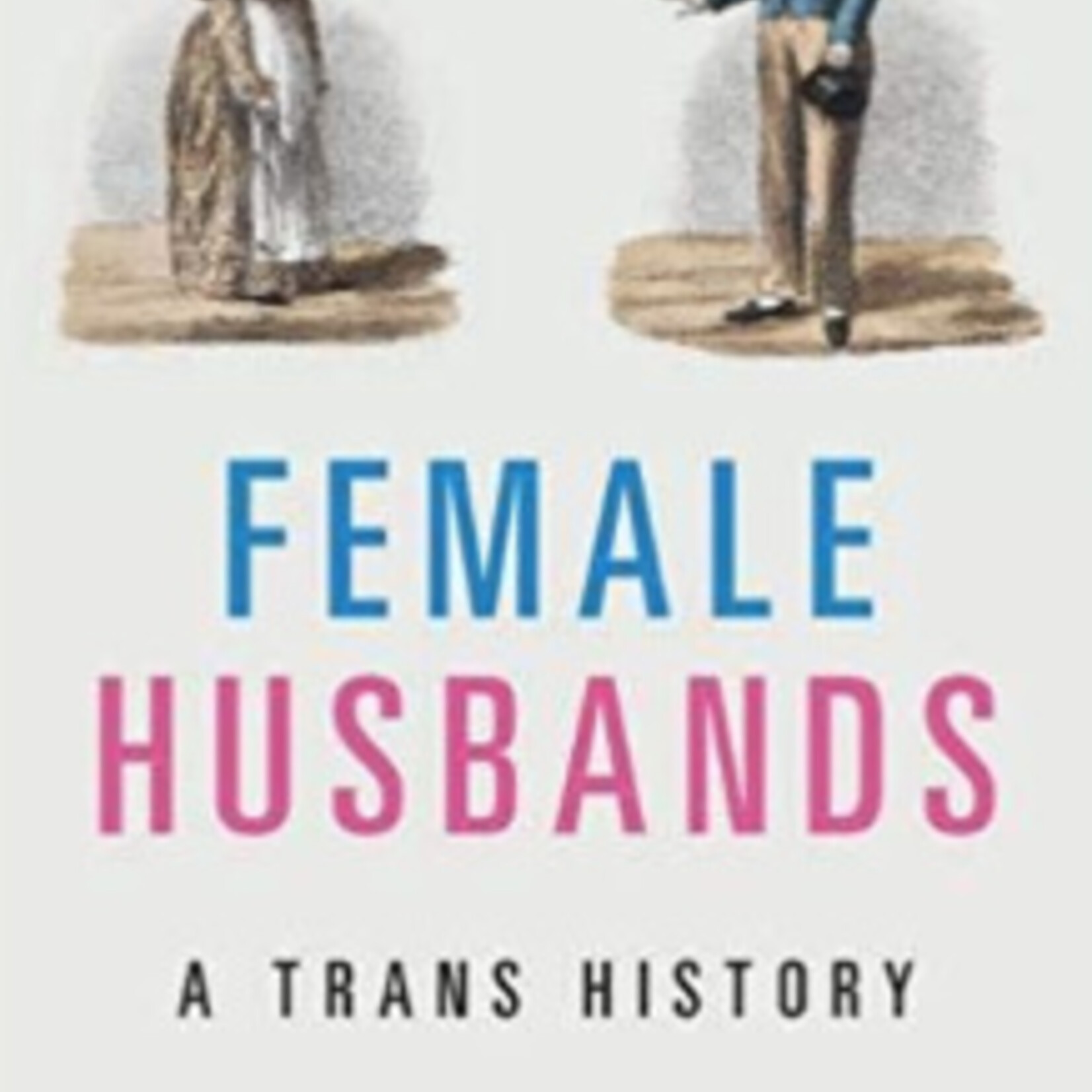 Jen Manion Female Husbands : A Trans History (hardcover)