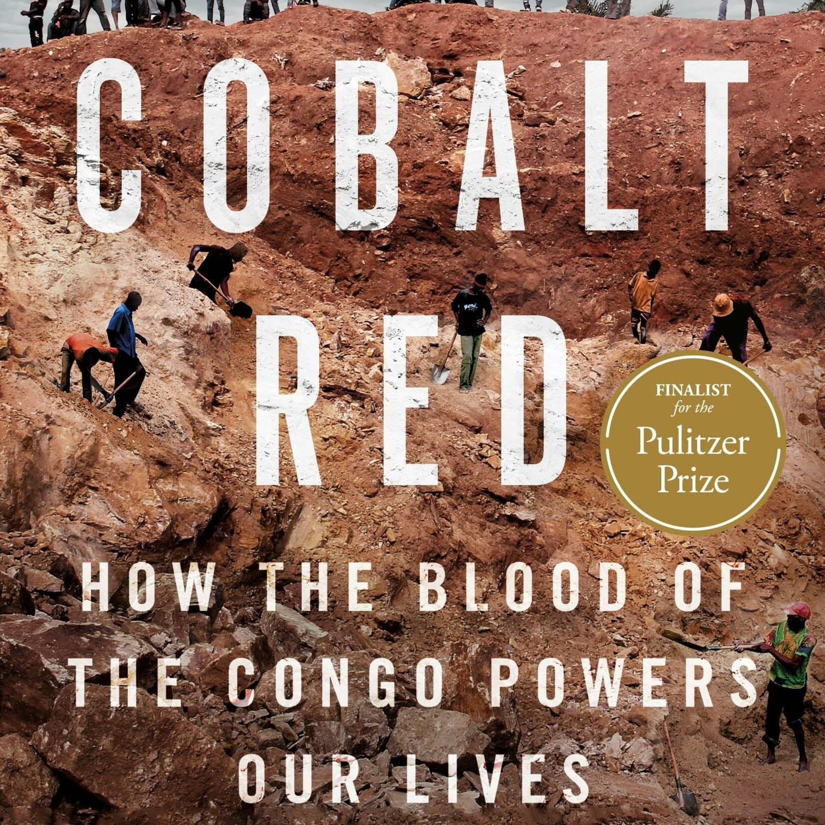 Siddharth Kara Cobalt Red : How the Blood of the Congo Powers Our Lives (paperback)