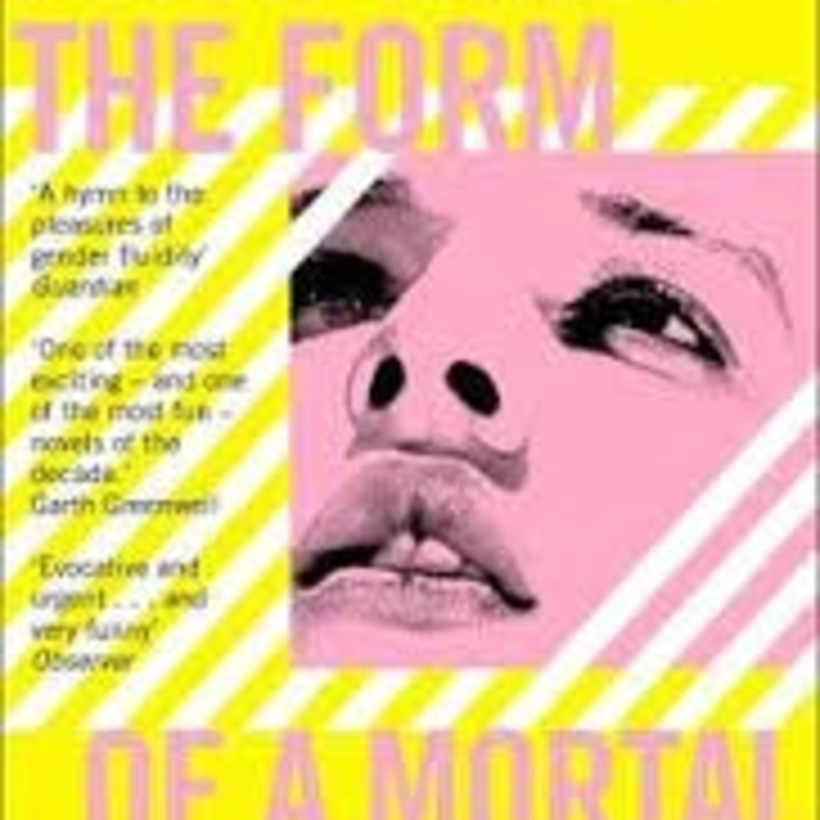 Andrea Lawlor Paul Takes the Form of A Mortal Girl (gele cover)