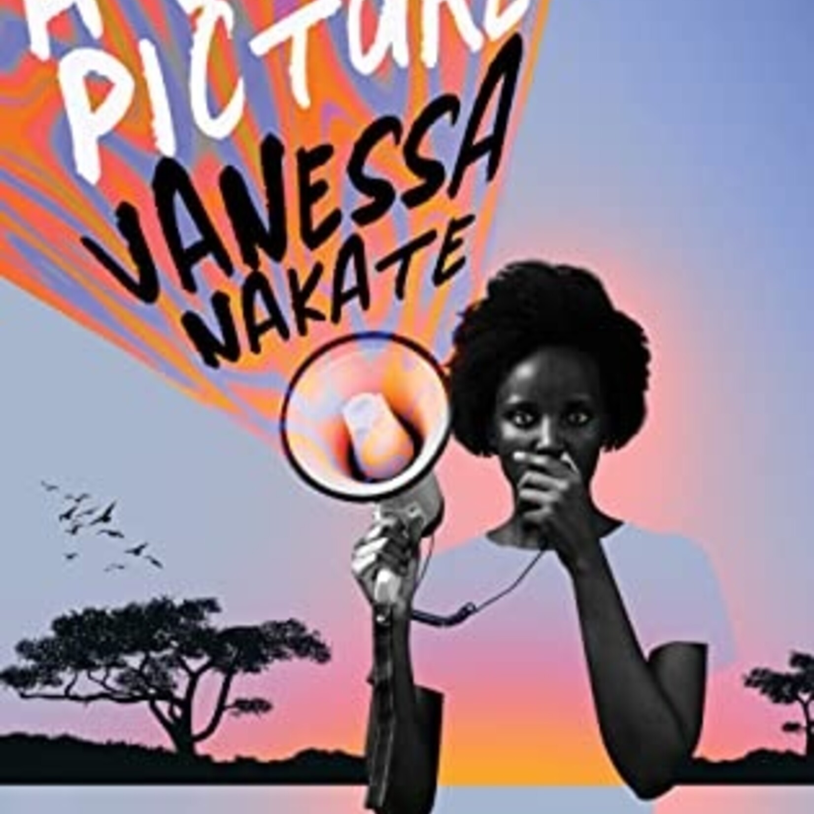 Vanessa Nakate A Bigger Picture : My Fight to Bring a New African Voice to the Climate Crisis - Vanessa Nakate