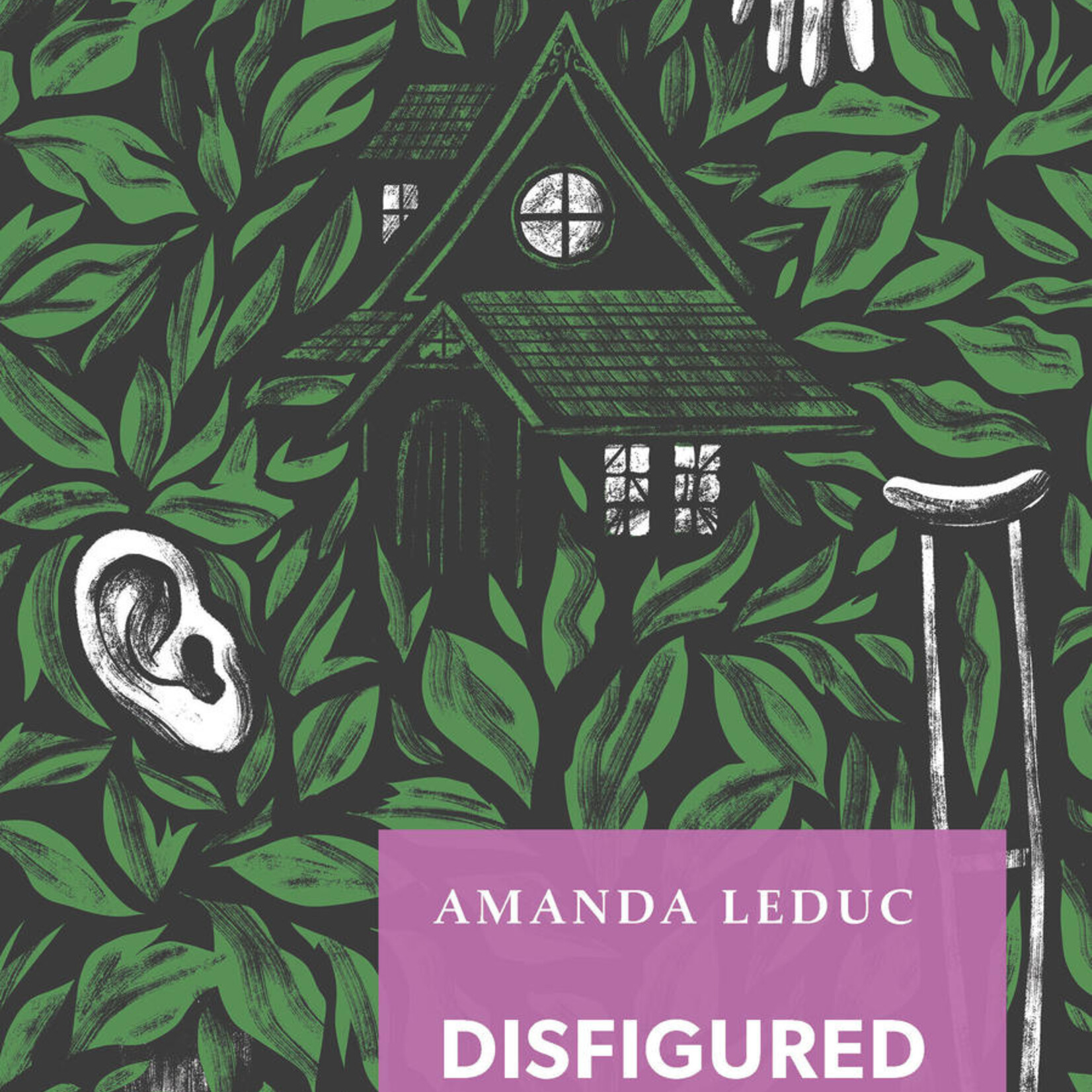 Amanda Leduc Disfigured : On Fairy Tales, Disability, and Making Space