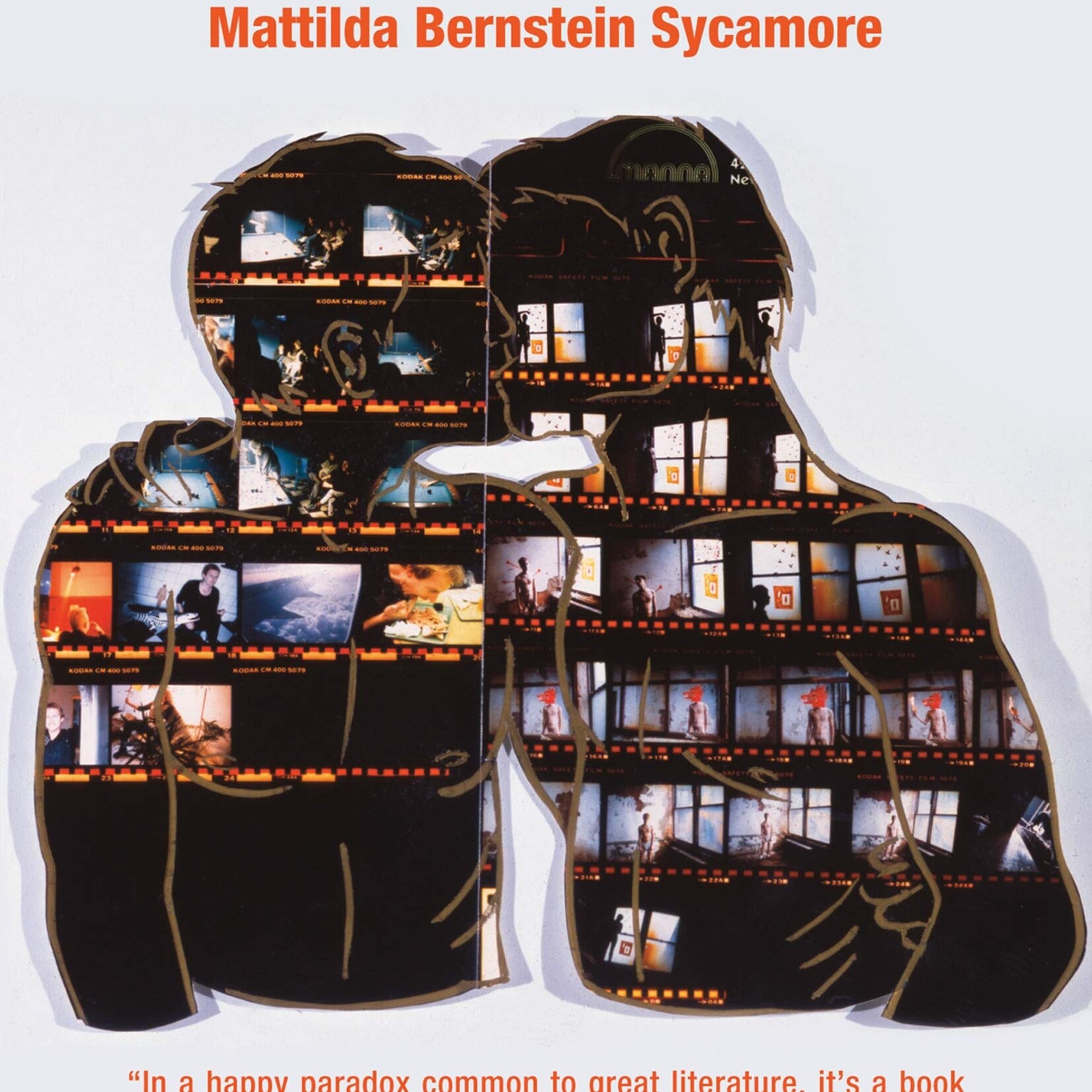Mattilda Bernstein Sycamore The freezer door