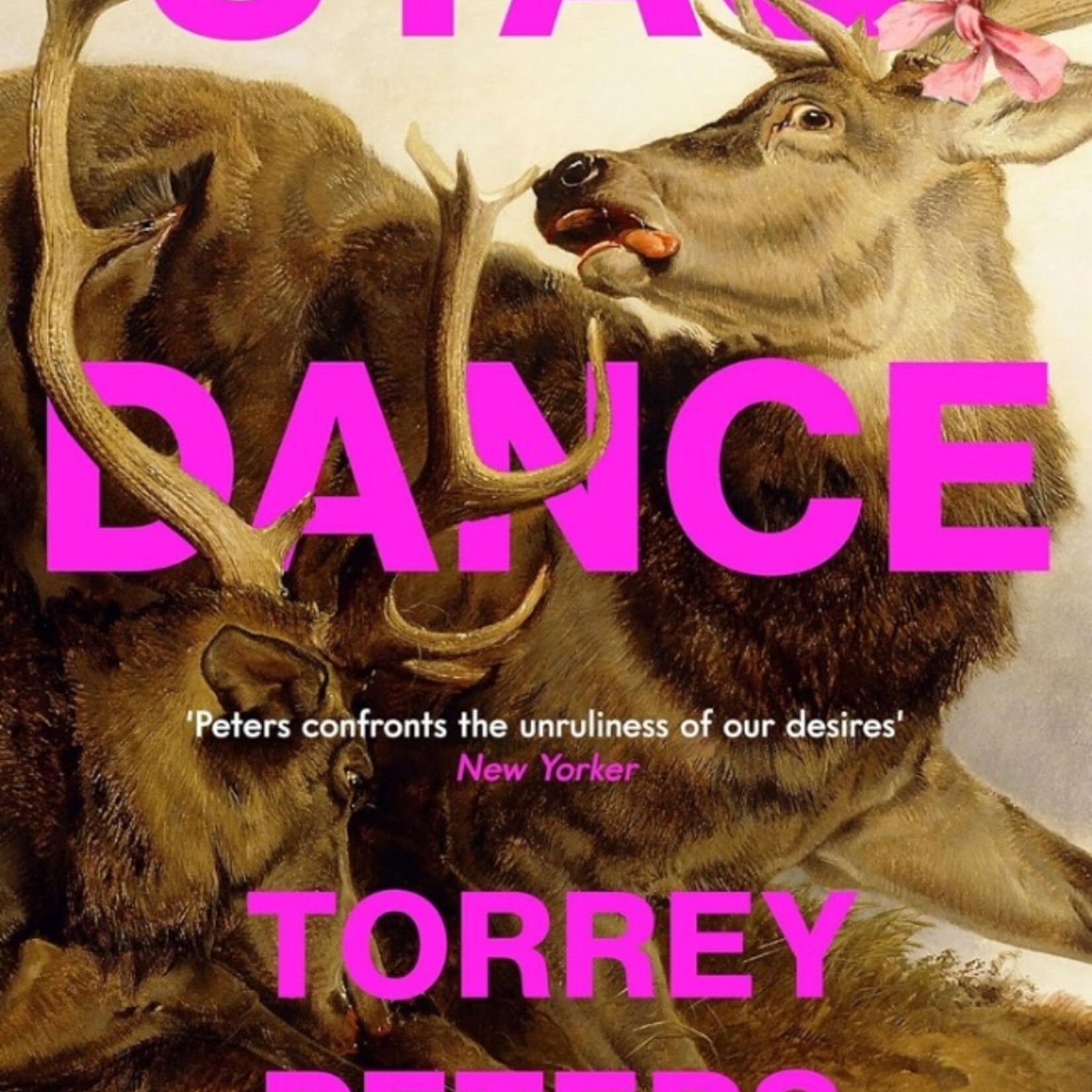 Torrey Peters stag dance