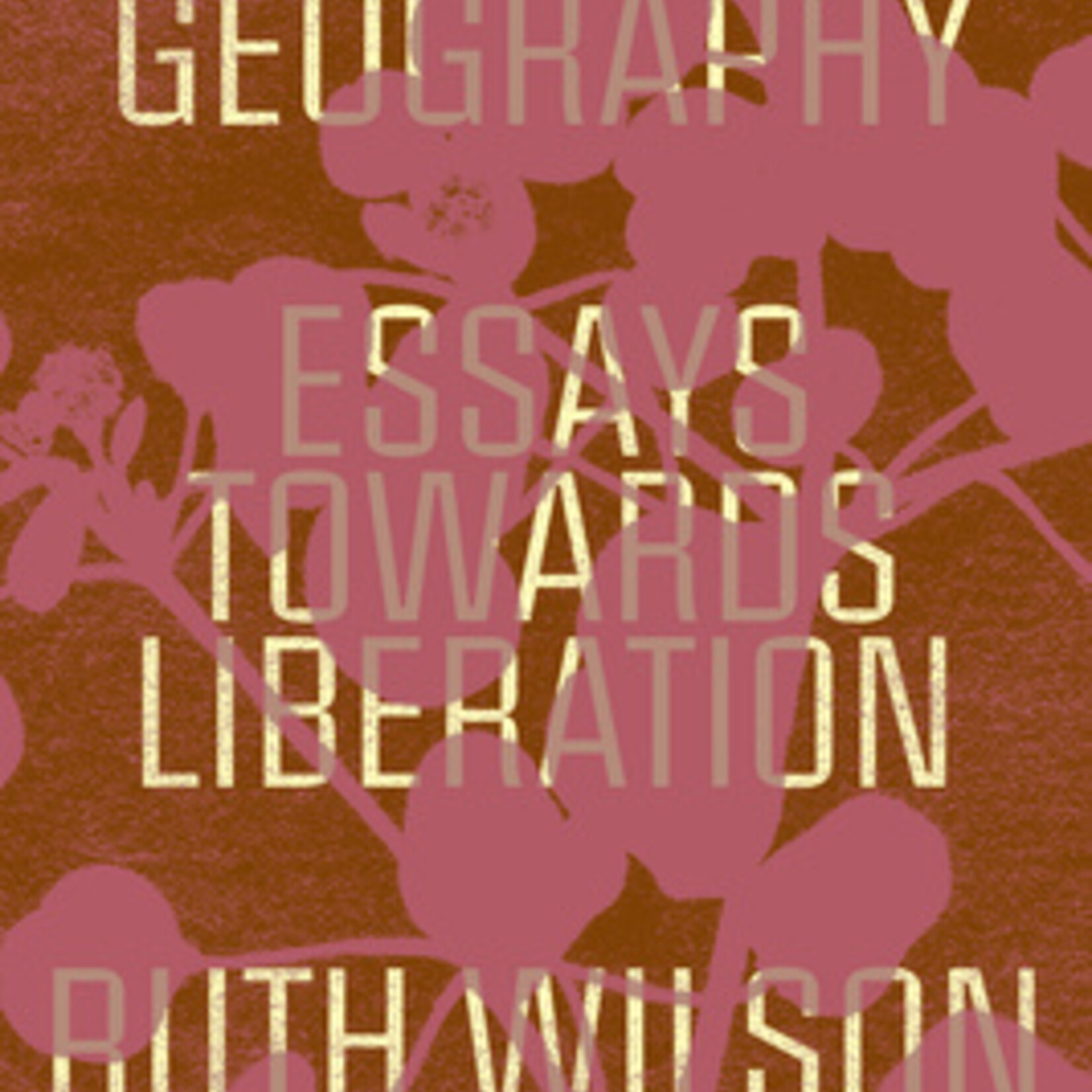 Ruth Wilson Gilmore Abolition Geography : Essays Towards Liberation