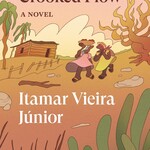 Itamar Vieira Junior Crooked Plow