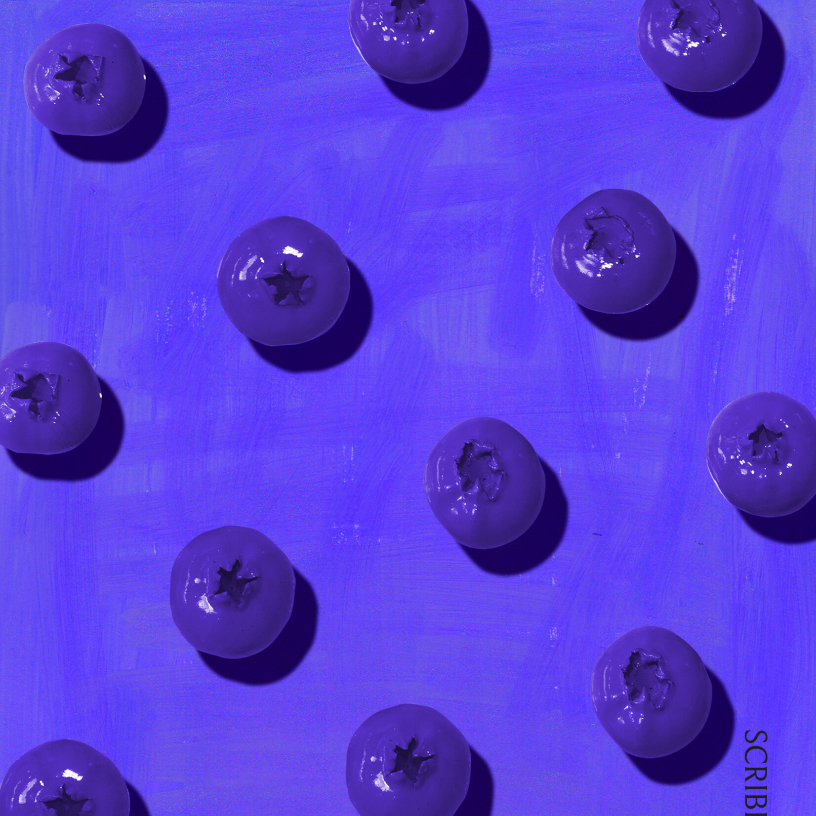 Ellena Savage B - Blueberries : essays concerning understanding