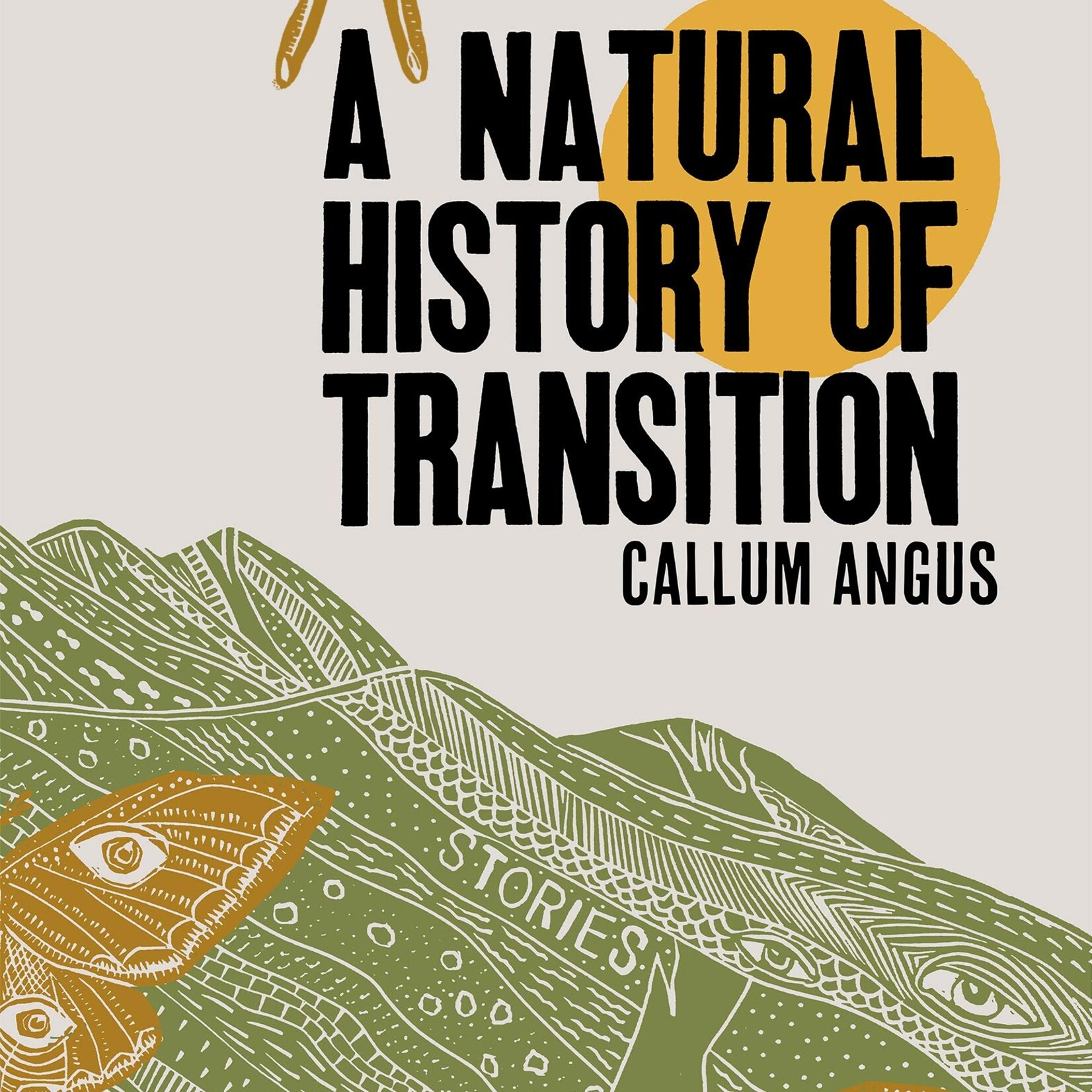 Callum Angus A Natural History of Transition - Callum Angus