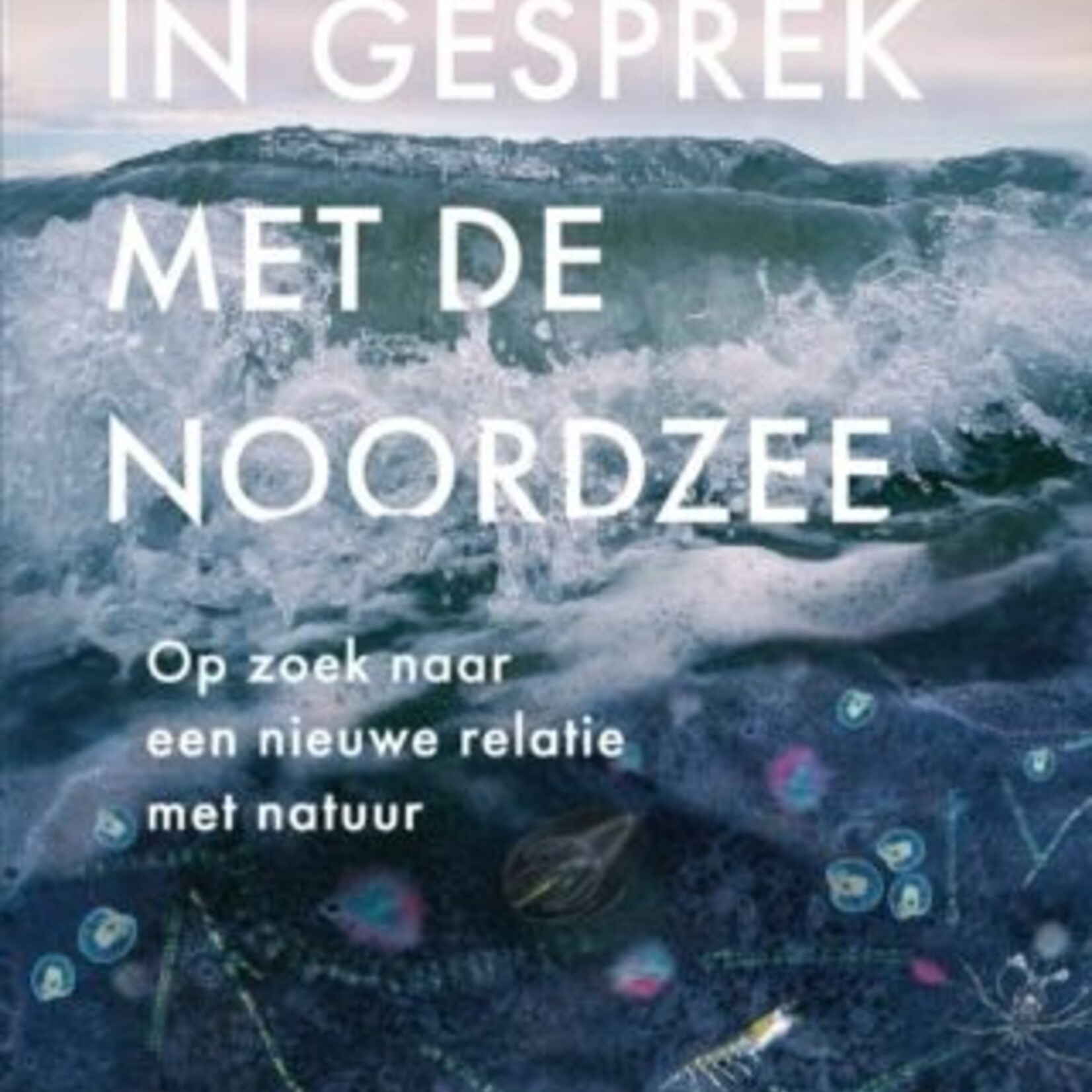 Arita Baaijens In gesprek met de Noordzee