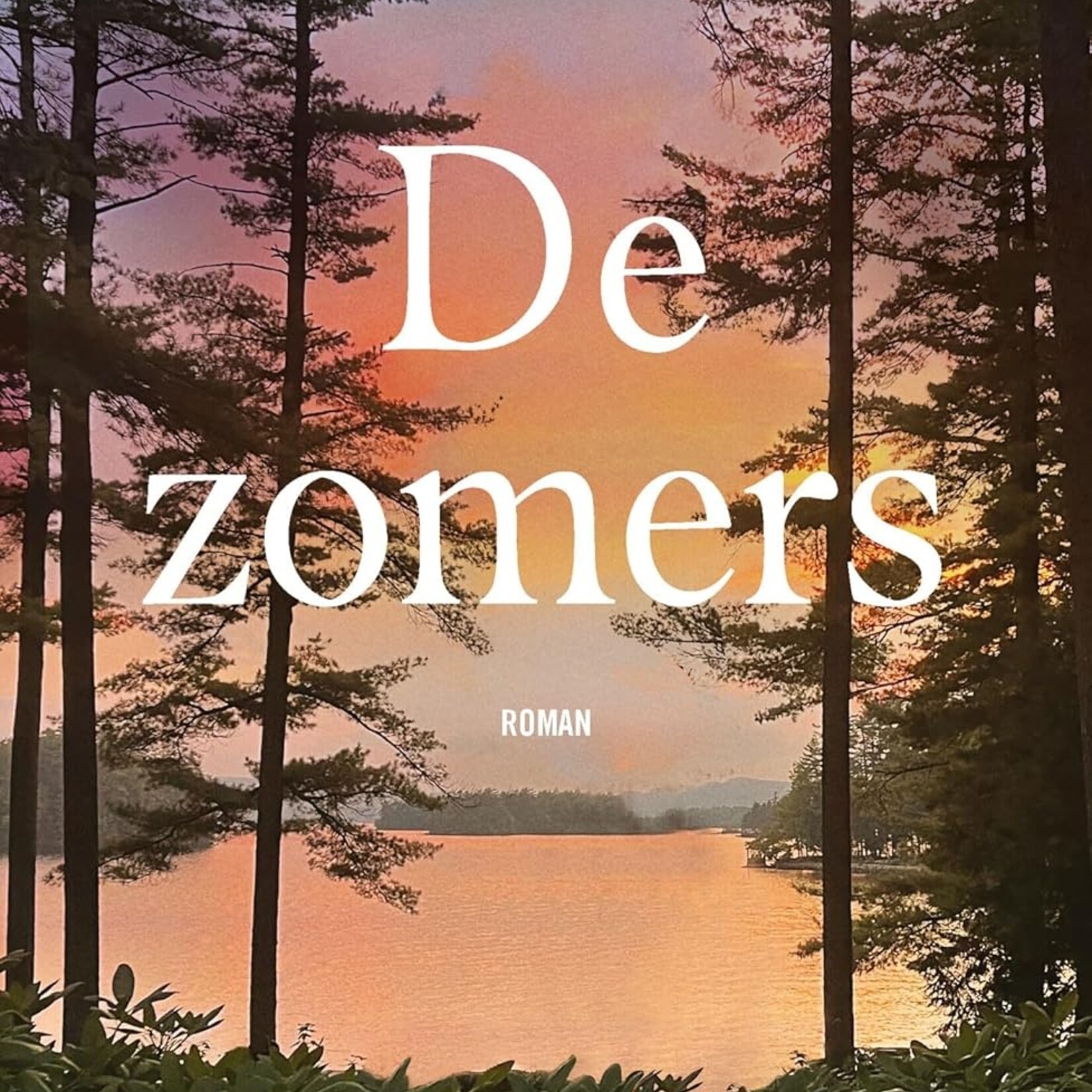 Alice Elliott Dark De zomers (Alice Elliott Dark)