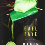 gaël faye Klein land