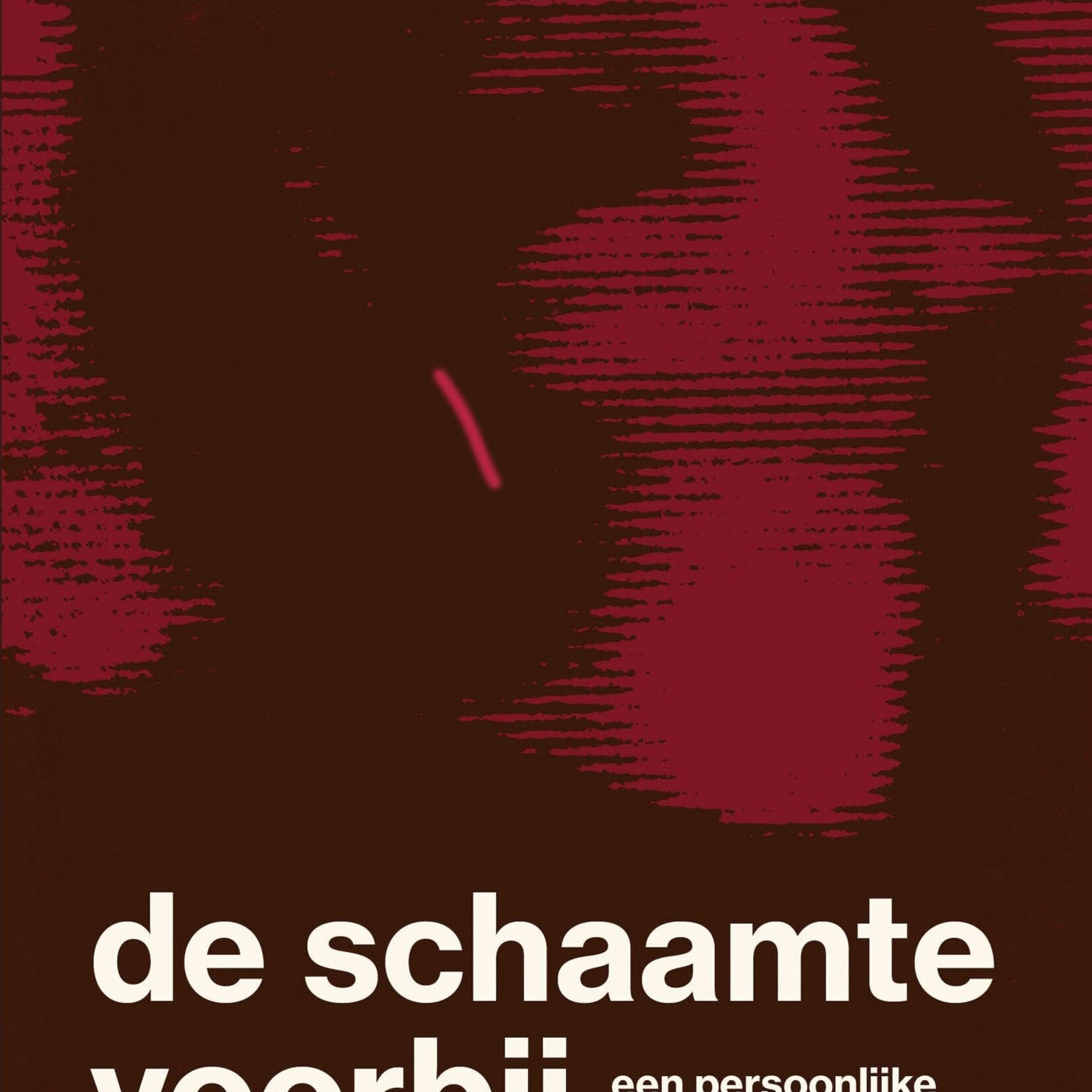 Anja Meulenbelt De schaamte voorbij