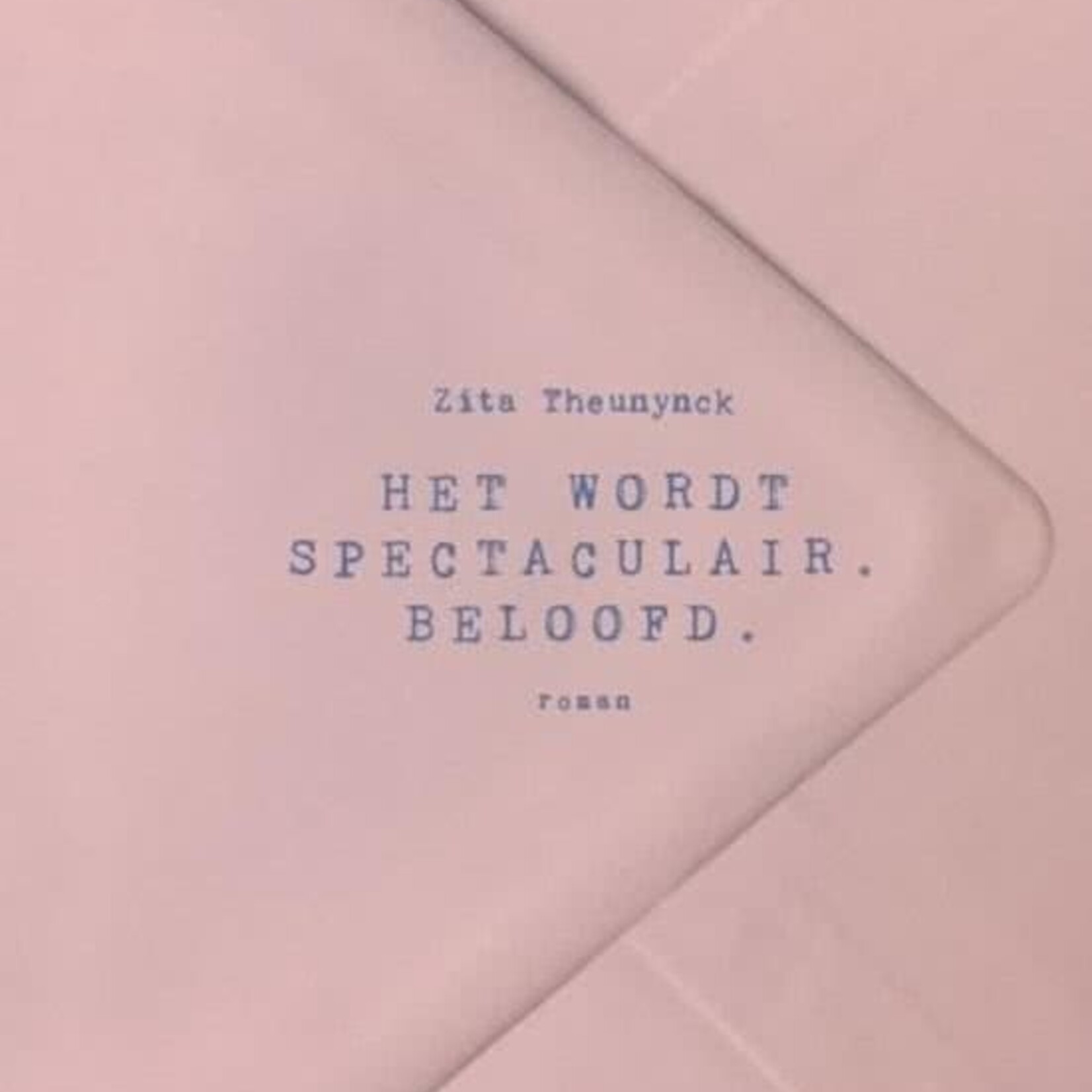Zita Theunynck Het wordt spectaculair. Beloofd. - Zita Theunynck