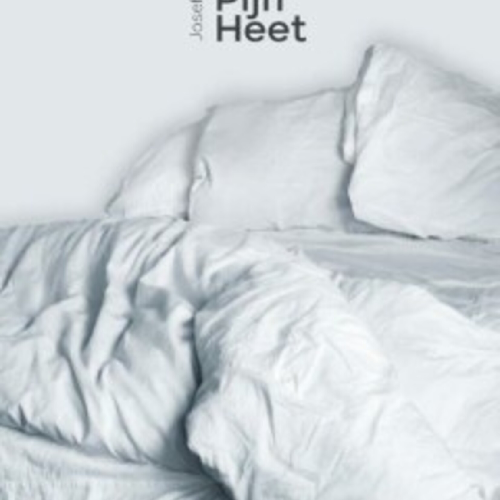 Josefien Cornette Een huis dat pijn heet