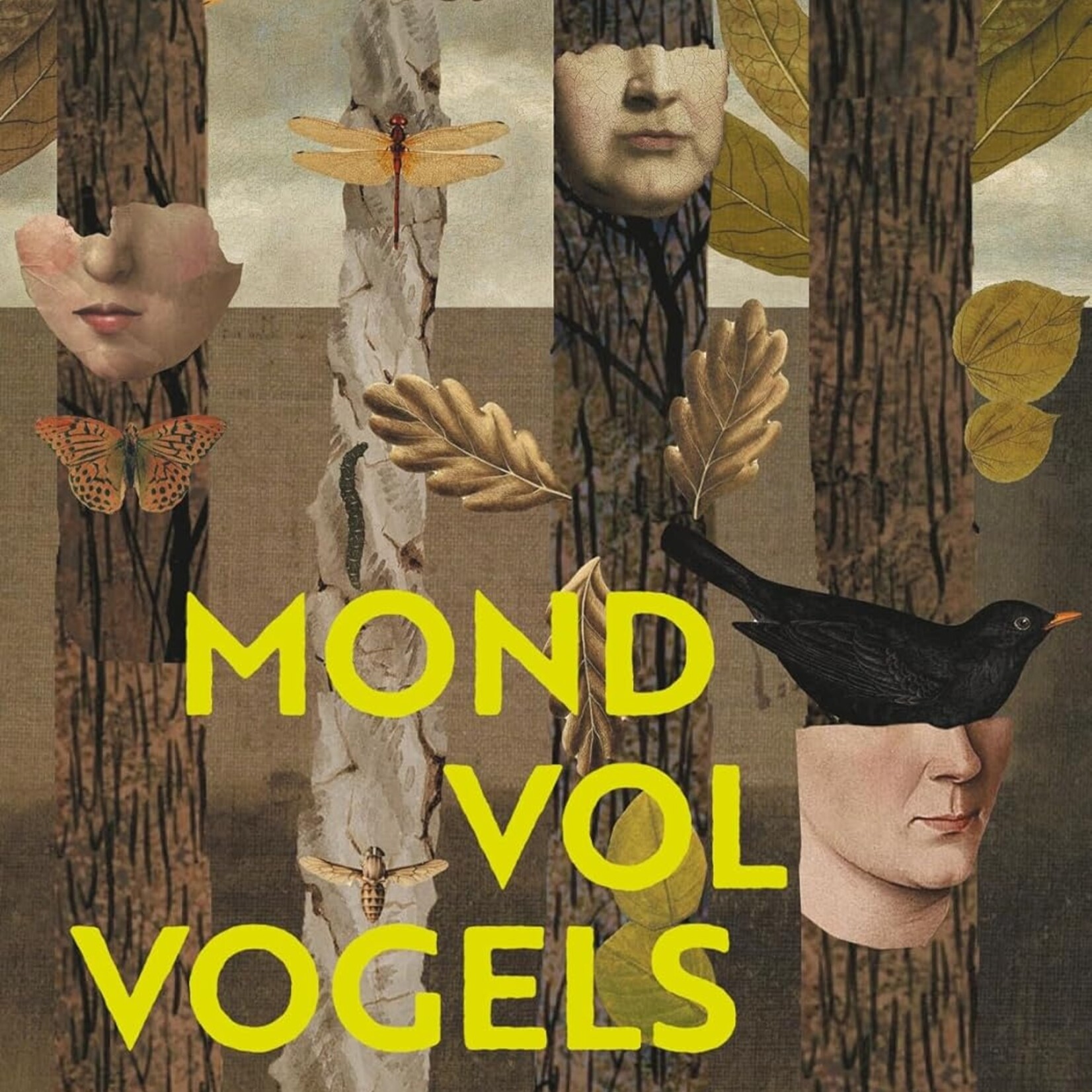 samanta schweblin Mond vol vogels