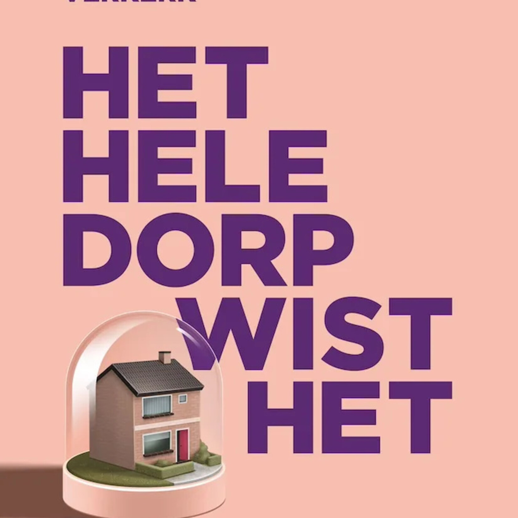 Rinke Verkerk Het hele dorp wist het