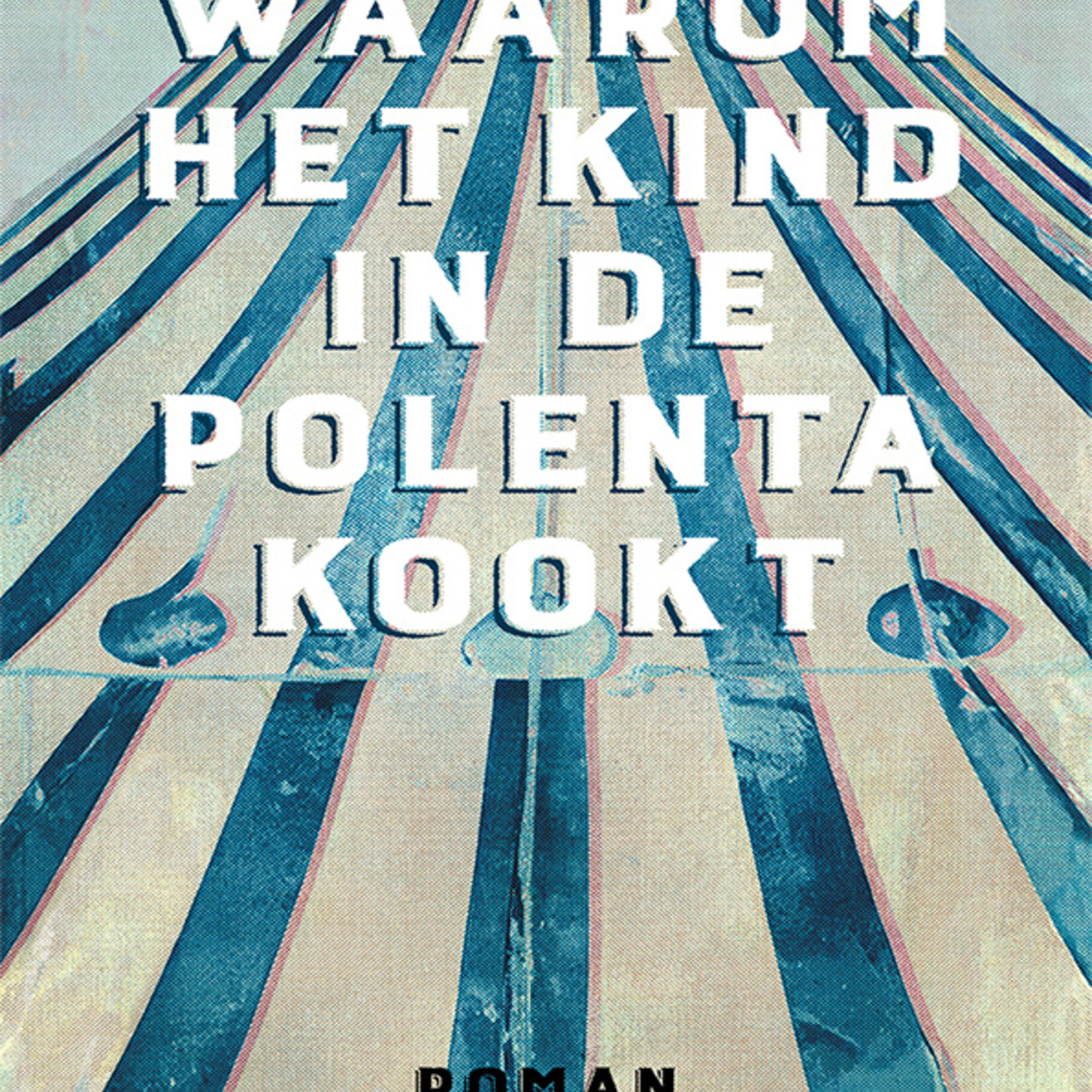 Aglaja Veteranyi B - Waarom het kind in de polenta kookt (hardcover)