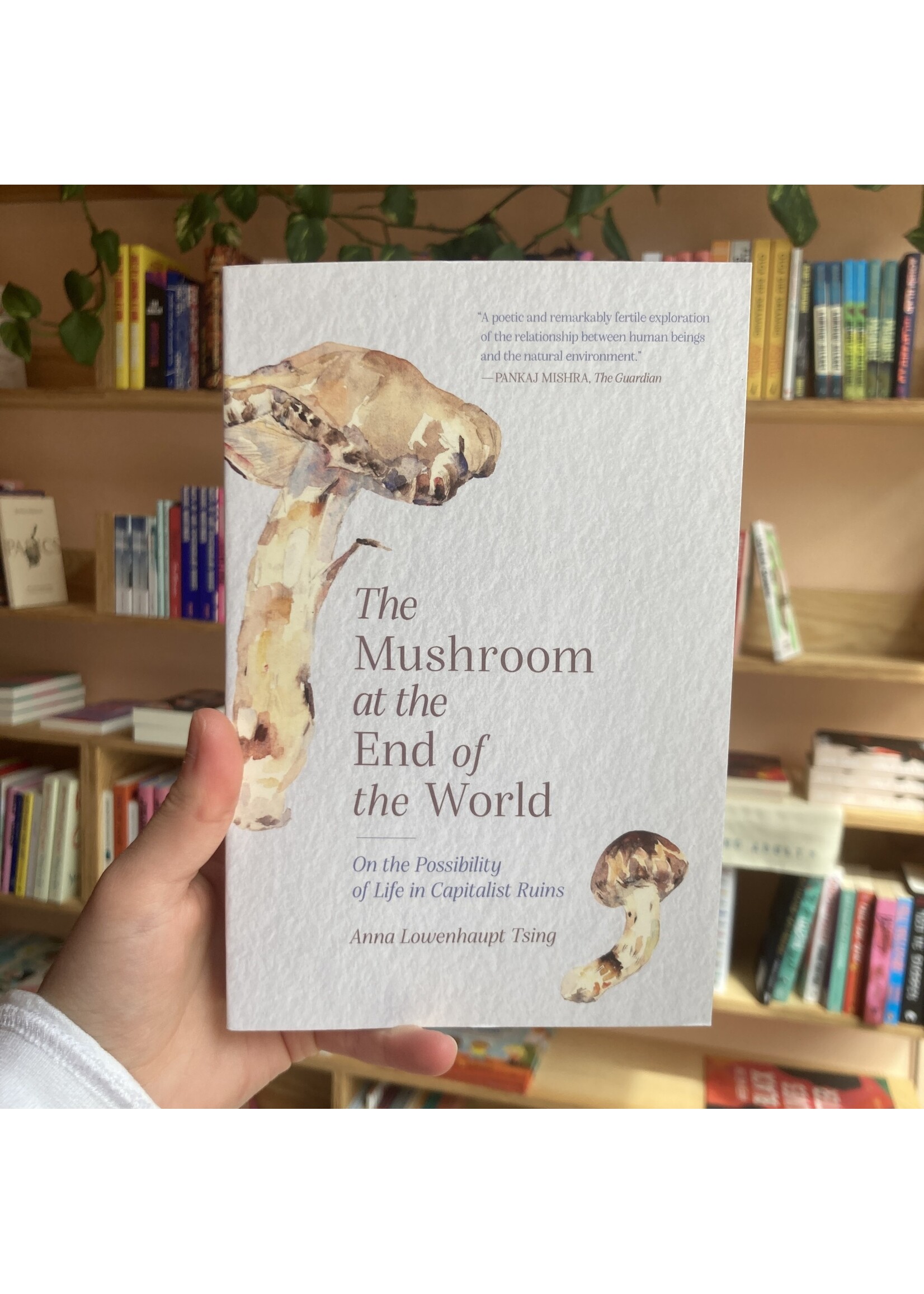 Anna Lowenhaupt Tsing The Mushroom at the End of the World : On the Possibility of Life in Capitalist Ruins
