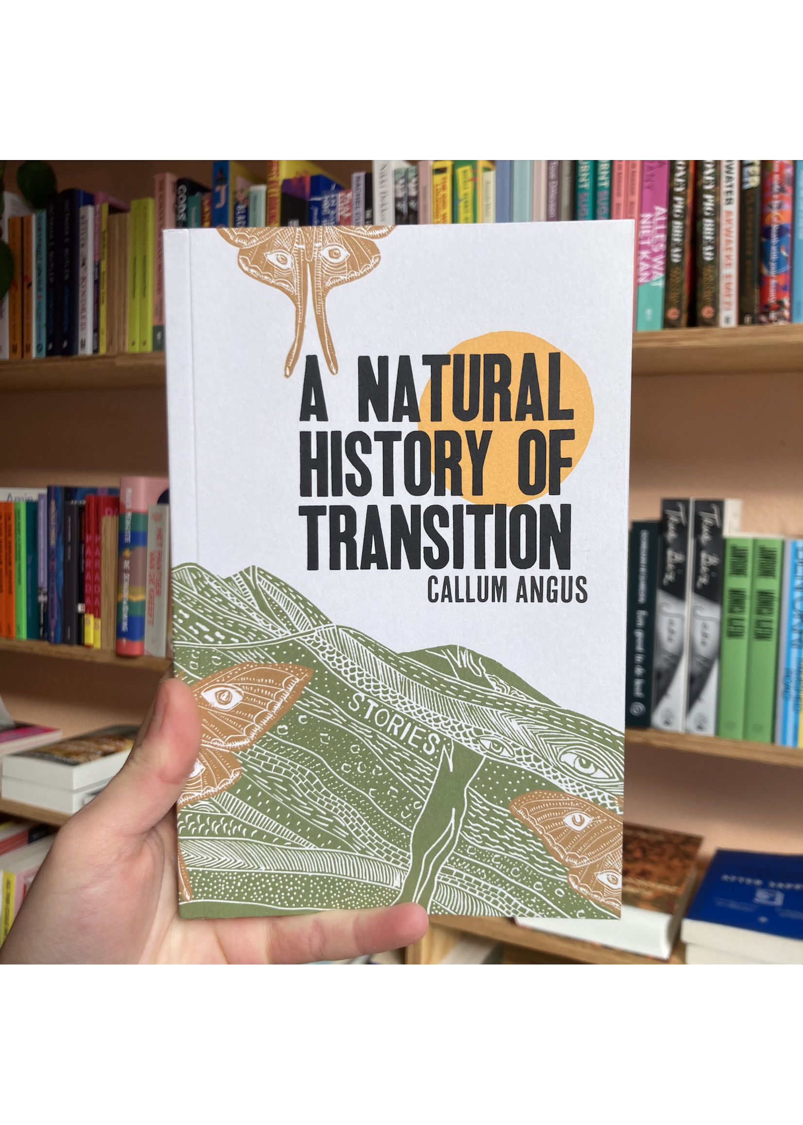 Callum Angus A Natural History Of Transition : Stories