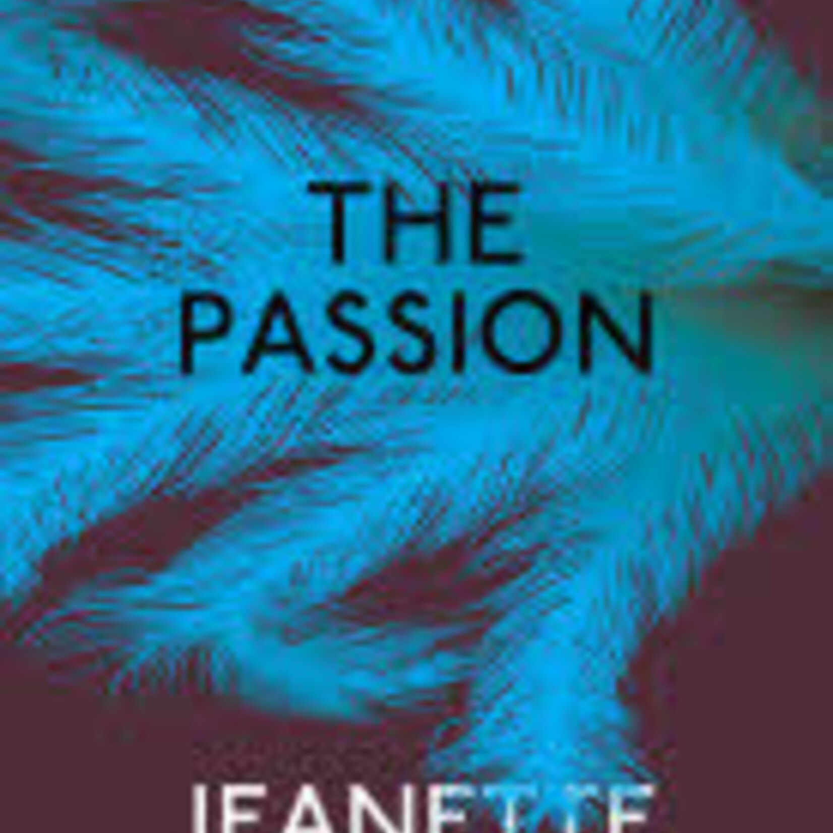 Jeanette Winterson The Passion