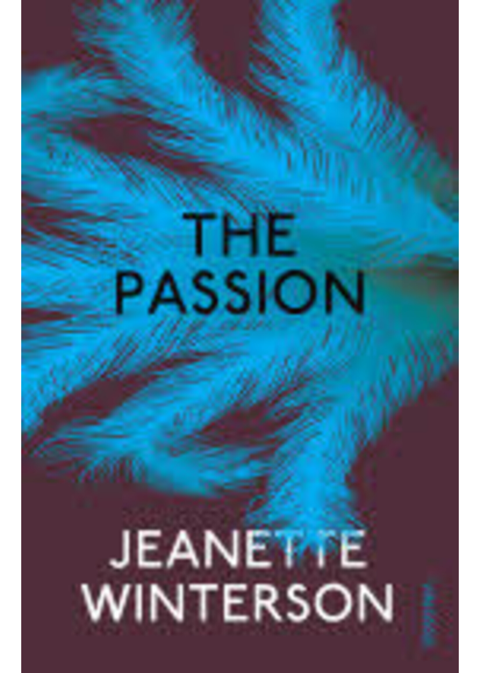 Jeanette Winterson The Passion