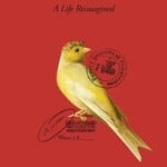 Lea Ypi Indignity : A Life Reimagined (paperback)