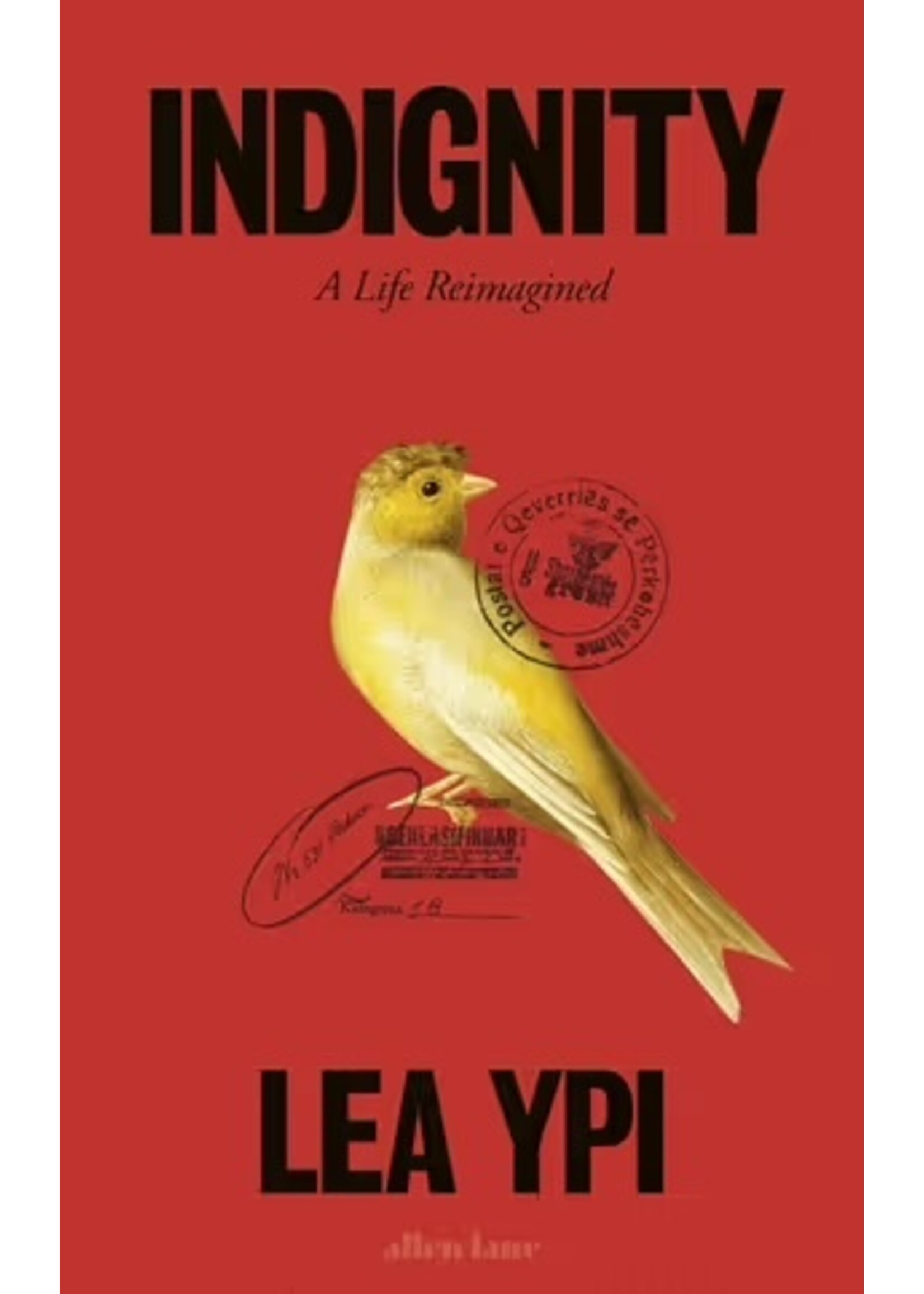 Lea Ypi Indignity : A Life Reimagined (paperback)