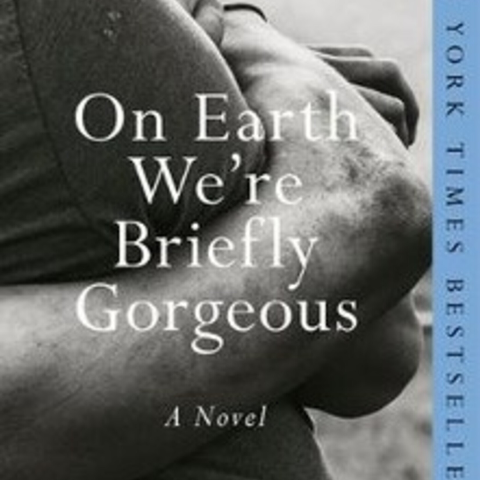 Ocean Vuong On Earth We're Briefly Gorgeous : A Novel
