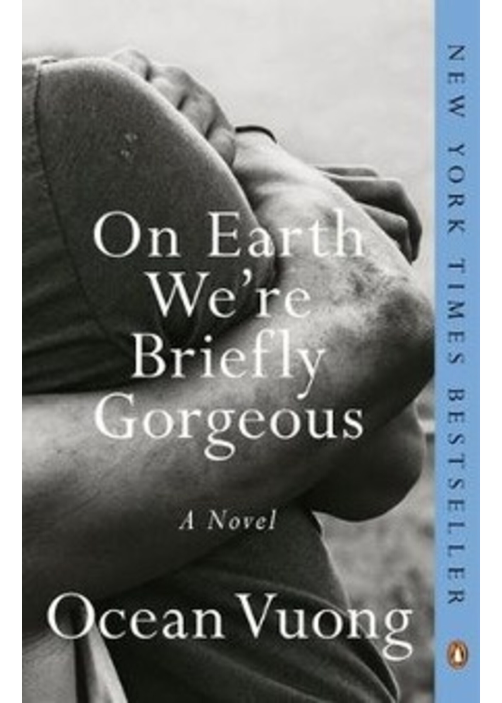 Ocean Vuong On Earth We're Briefly Gorgeous : A Novel