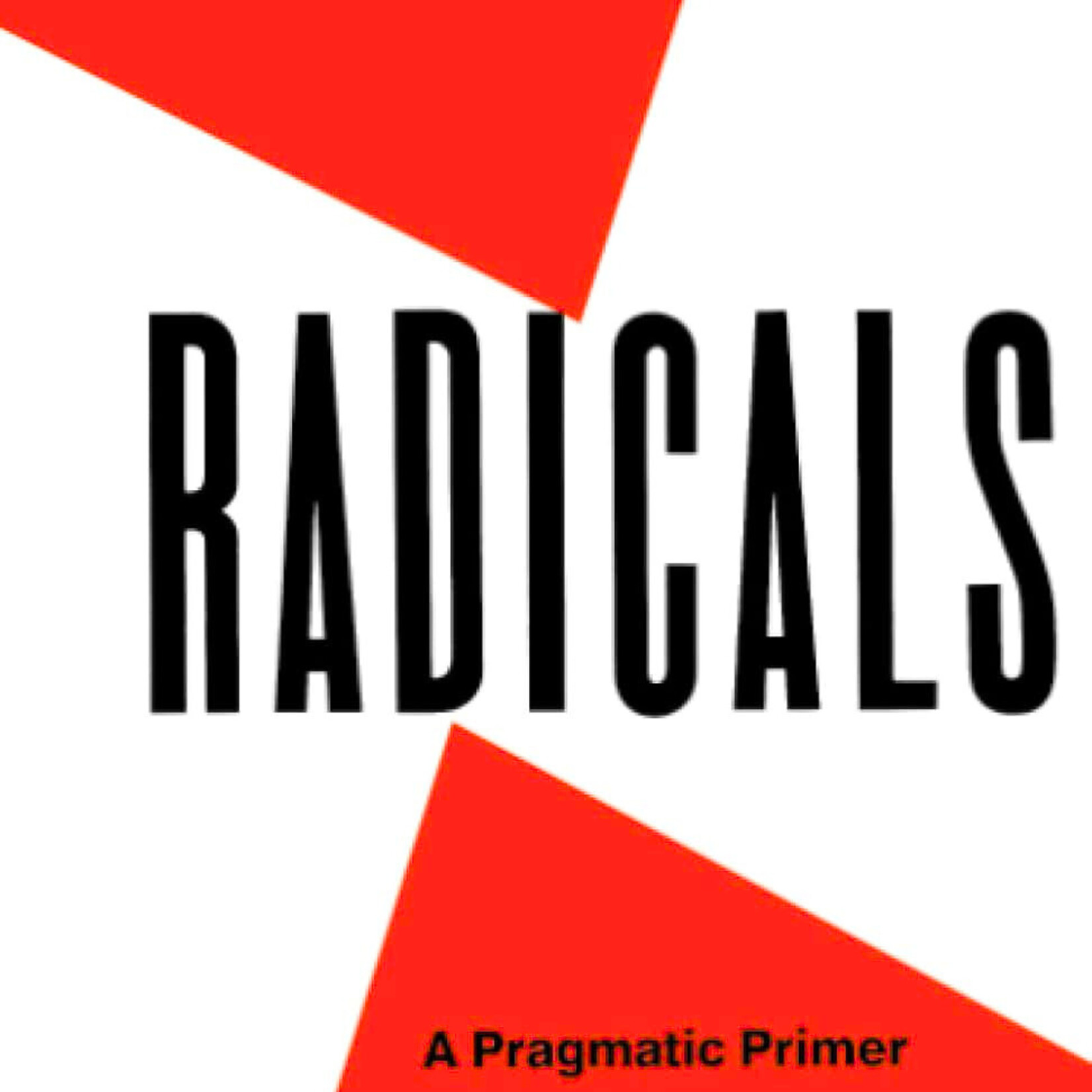 Saul D. Alinsky Rules for Radicals : A Pragmatic Primer for Realistic Radicals