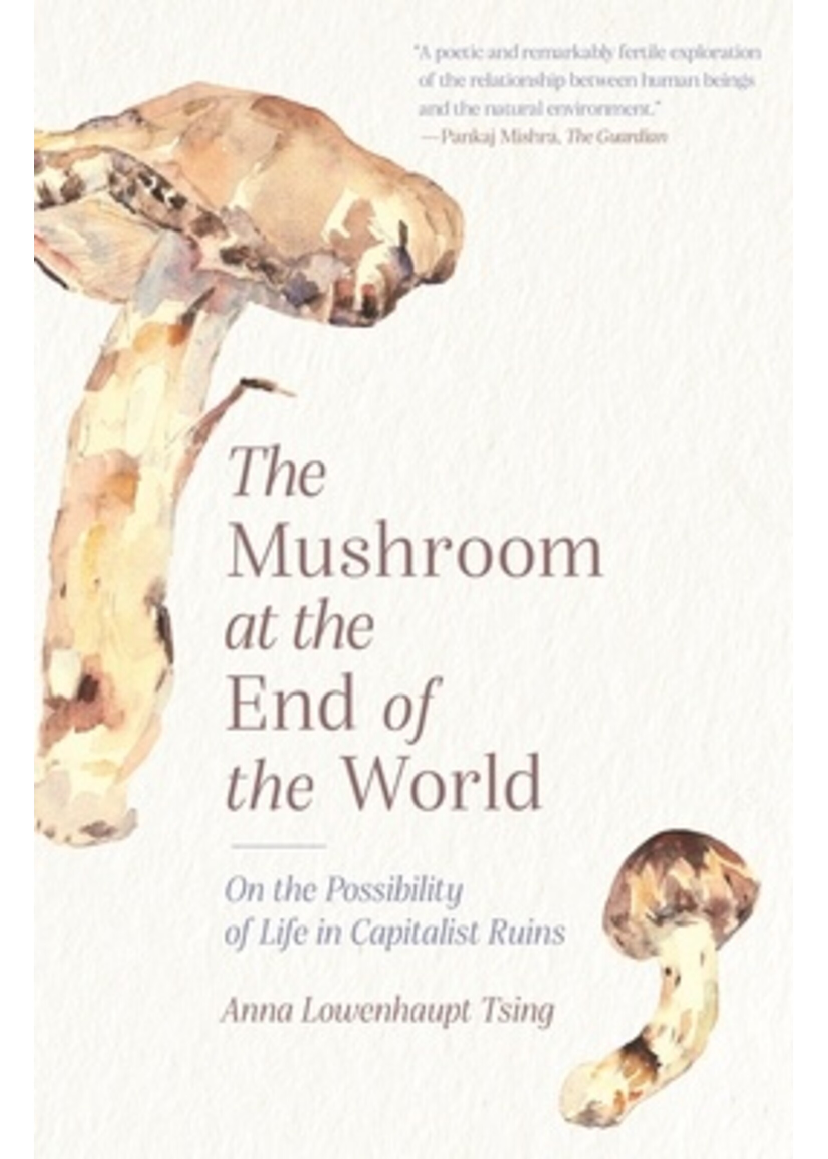 Anna Lowenhaupt Tsing The Mushroom at the End of the World : On the Possibility of Life in Capitalist Ruins