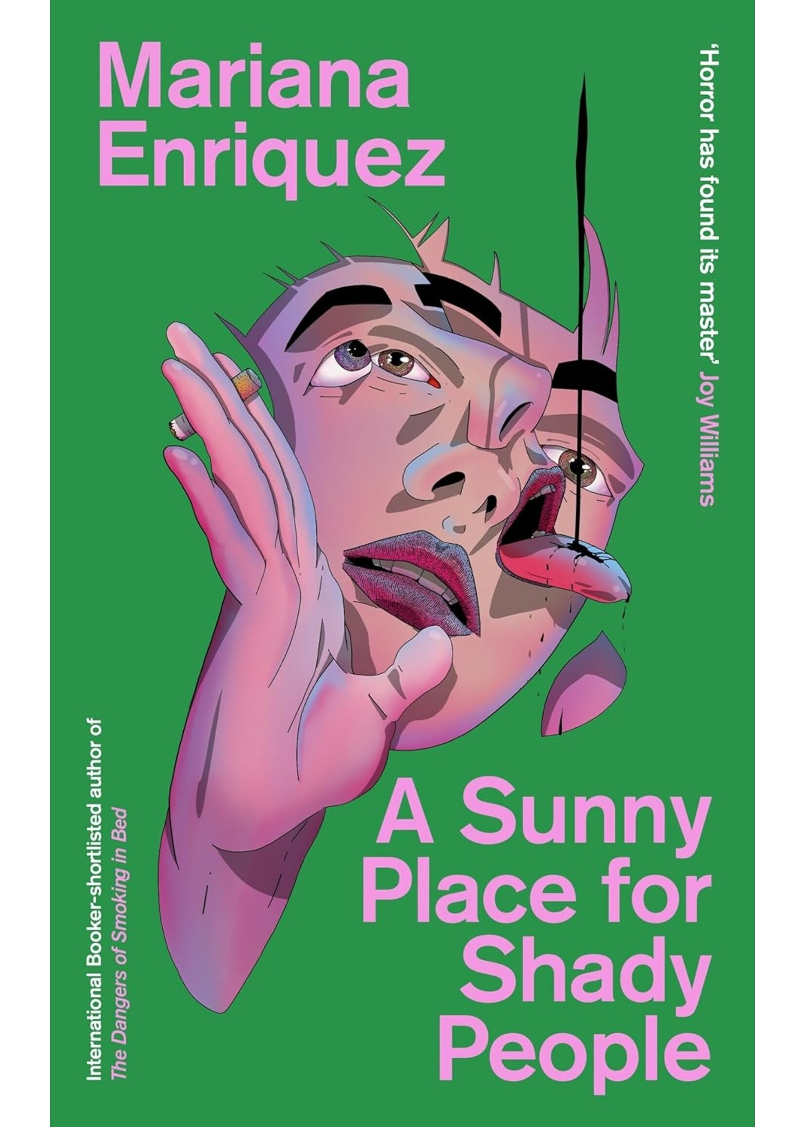 Mariana Enriquez A Sunny Place for Shady People