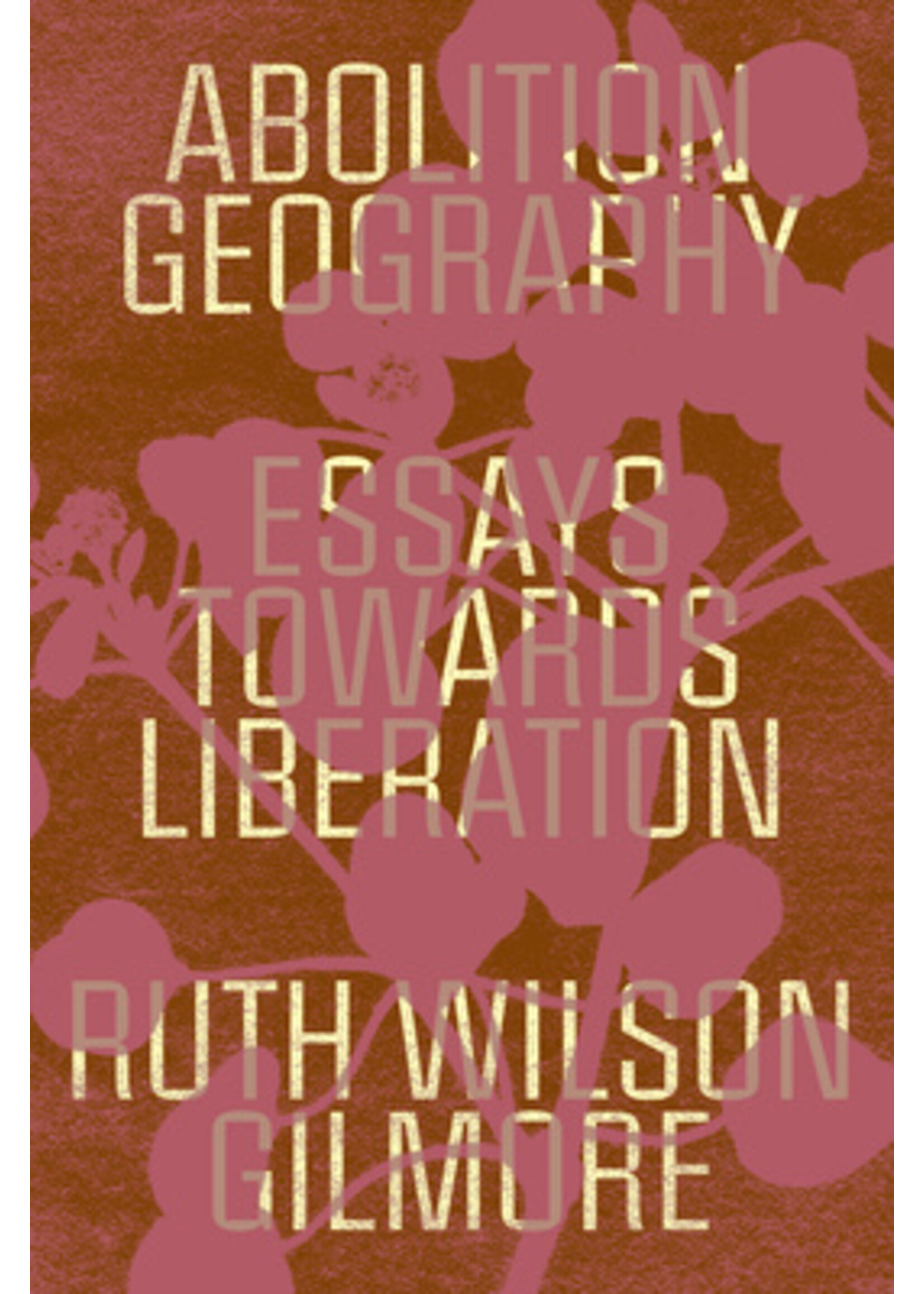 Ruth Wilson Gilmore Abolition Geography : Essays Towards Liberation (paperback)