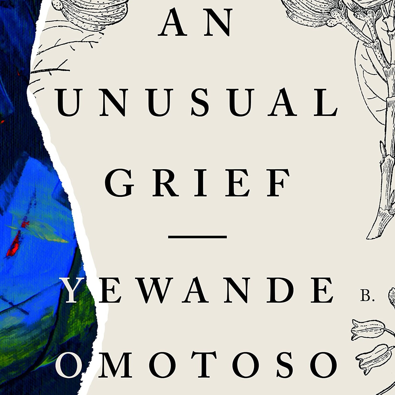 Yewande Omotoso An Unusual Grief