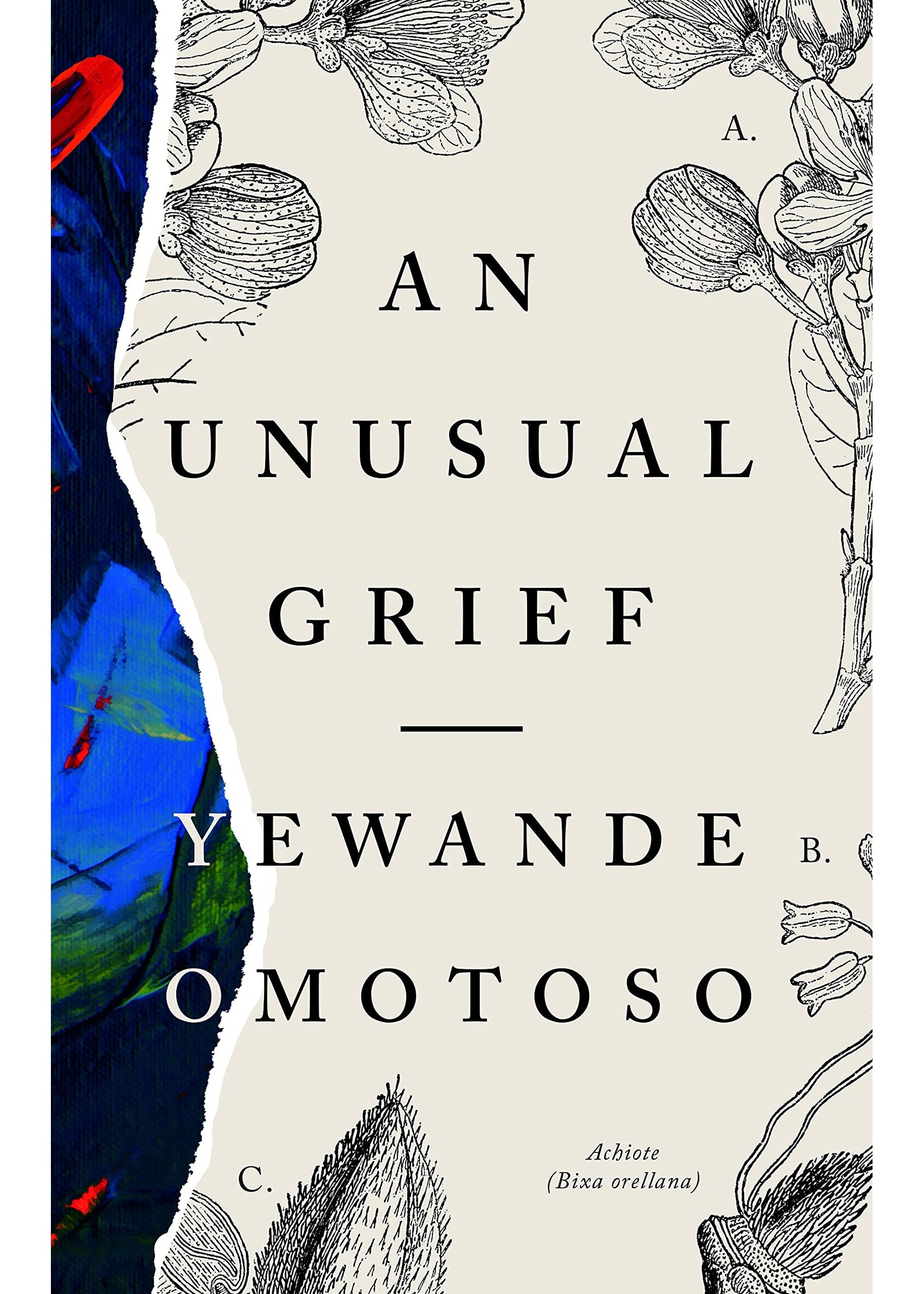 Yewande Omotoso An Unusual Grief