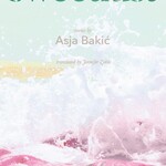 Asja Baki Sweetlust : Stories