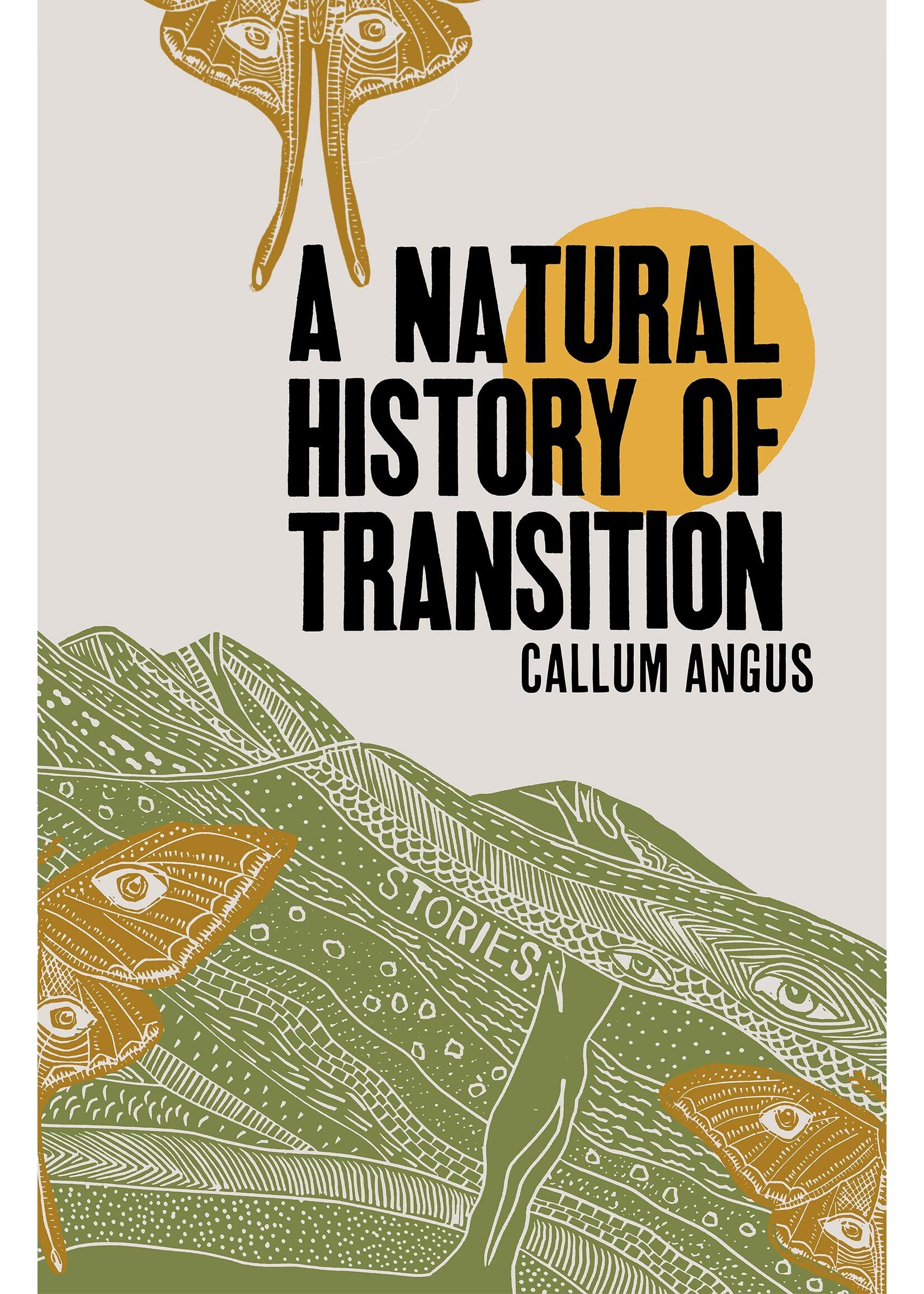 Callum Angus A Natural History Of Transition : Stories
