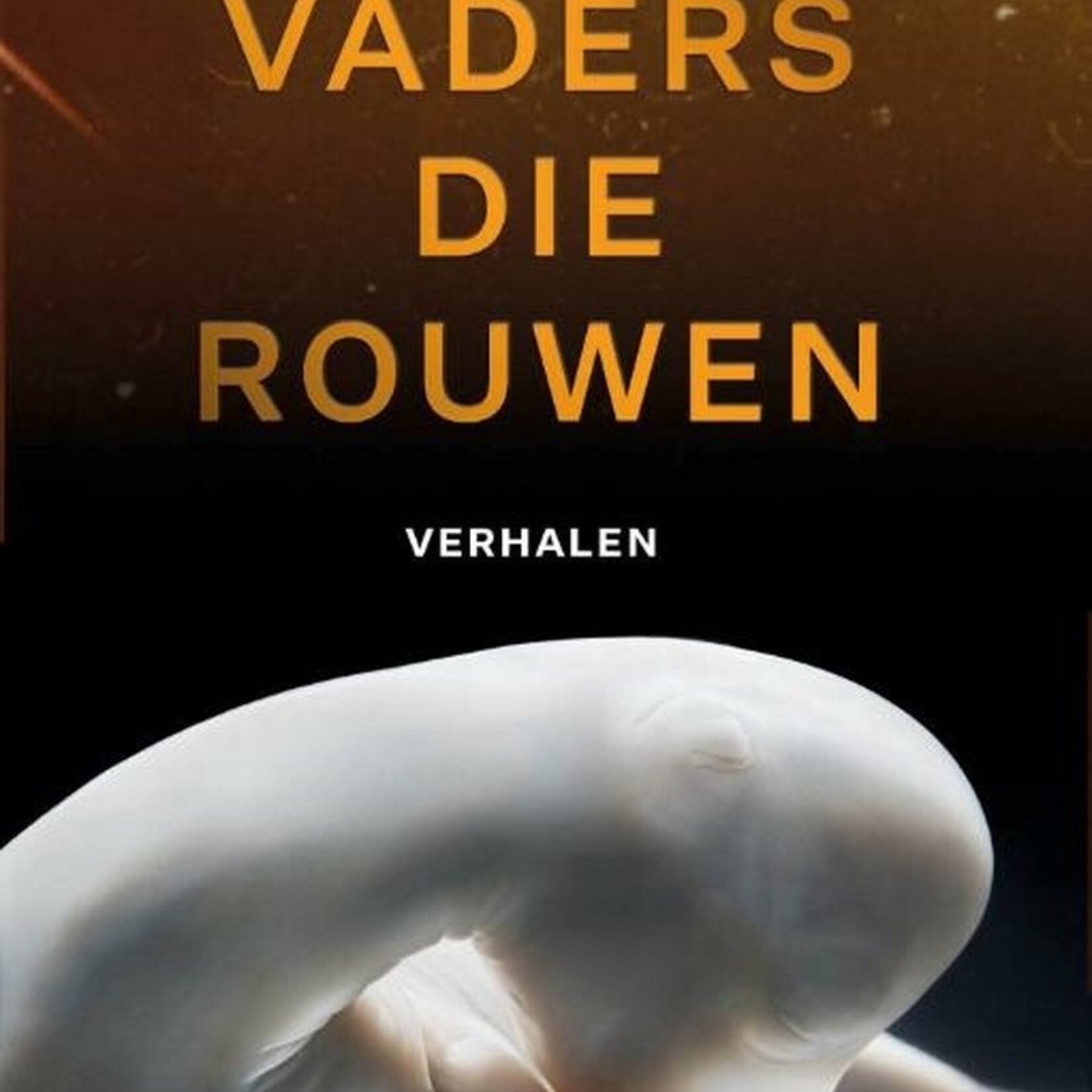 Carmien Michels Vaders die rouwen