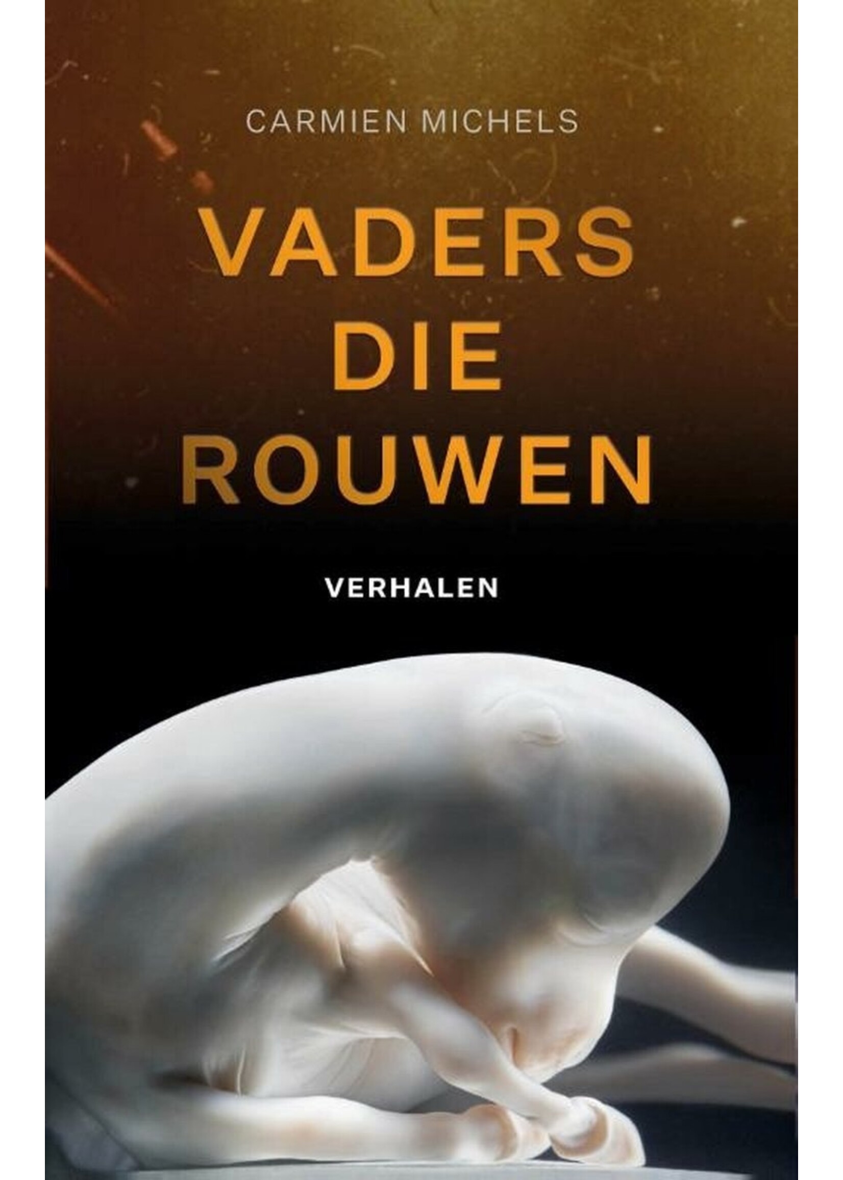Carmien Michels Vaders die rouwen. Verhalen
