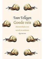 Goede reis