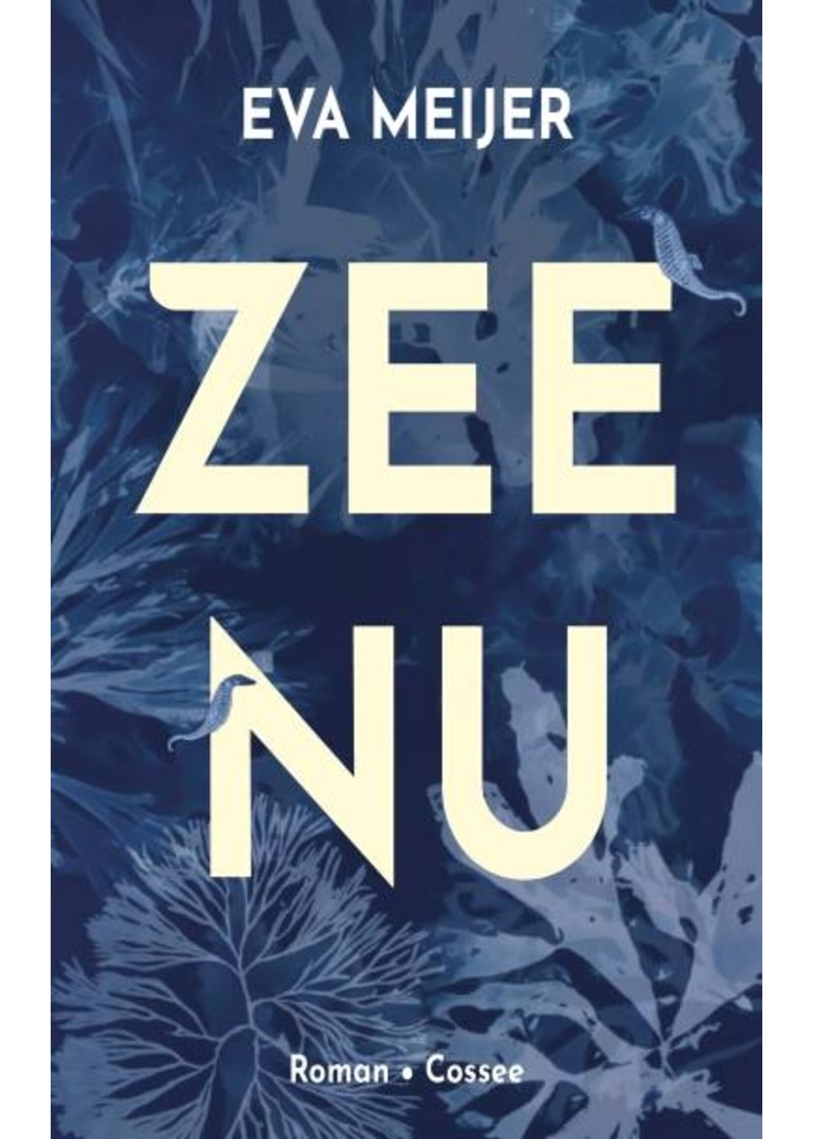 Eva Meijer Zee nu