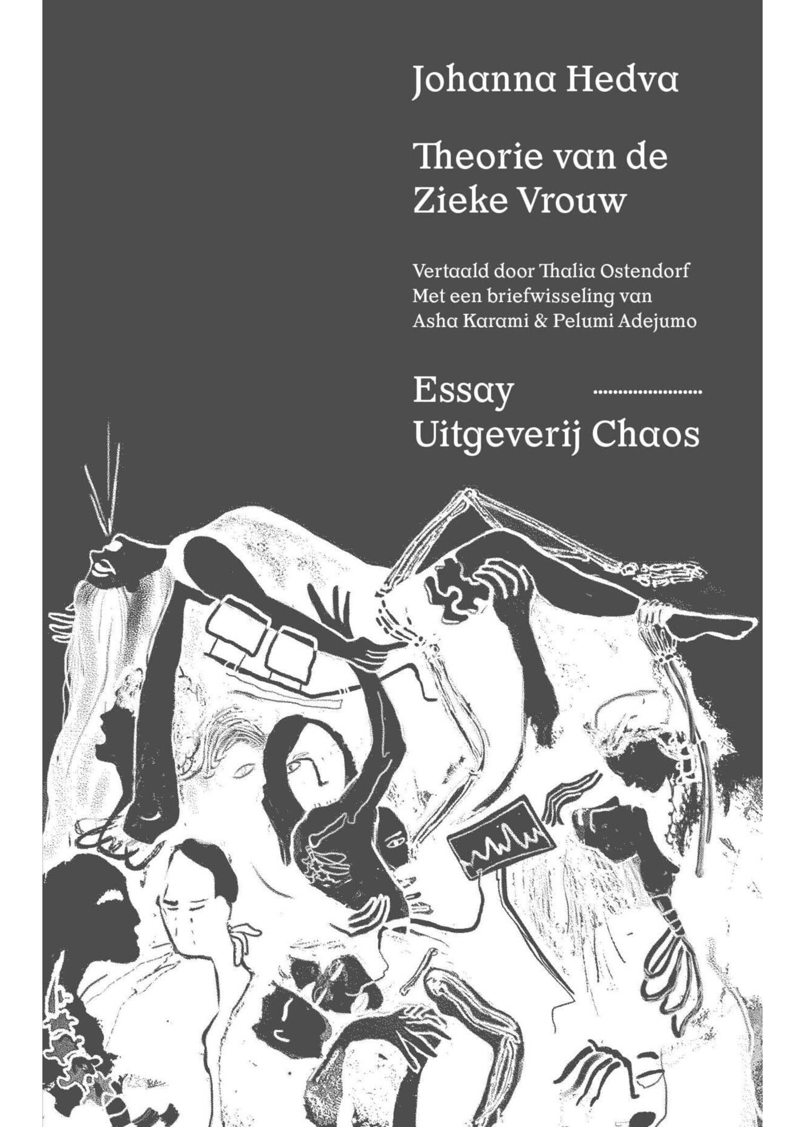 Johanna Hedva Theorie van de Zieke Vrouw