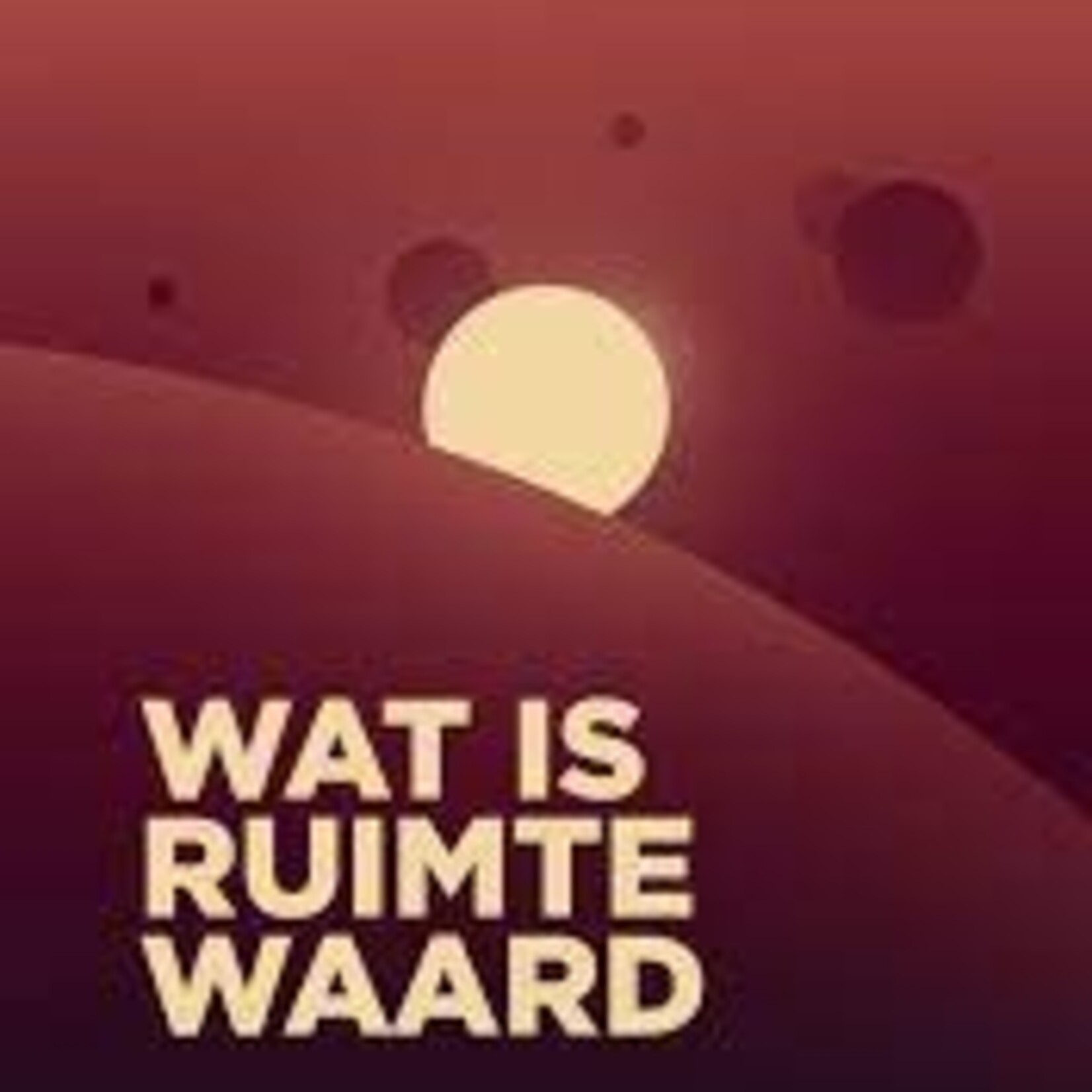 Marjolijn van Heemstra Wat is ruimte waard