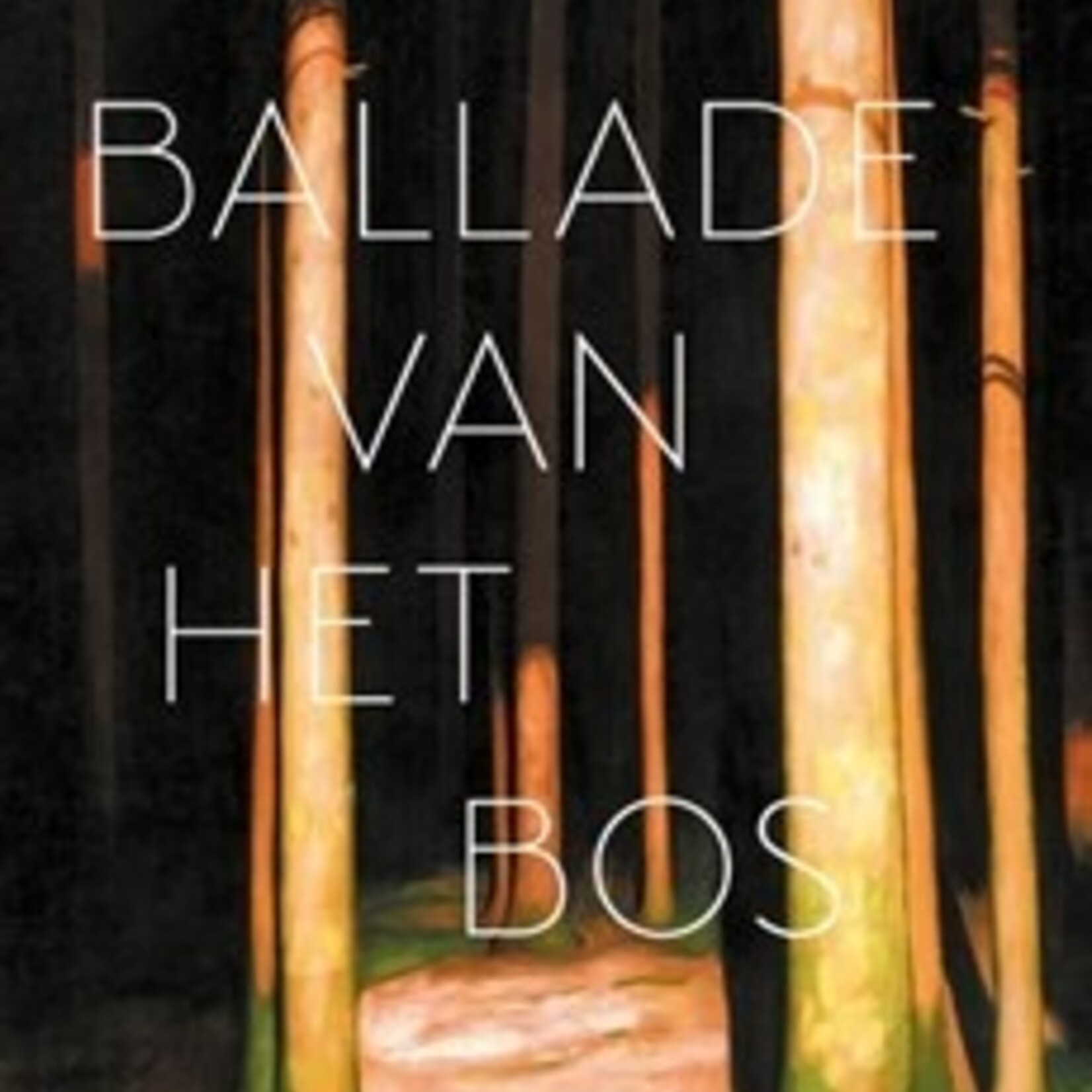 Maddalena Vaglio Tanet Ballade van het bos