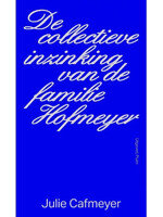 Julie Cafmeyer De collectieve inzinking van de familie Hofmeyer