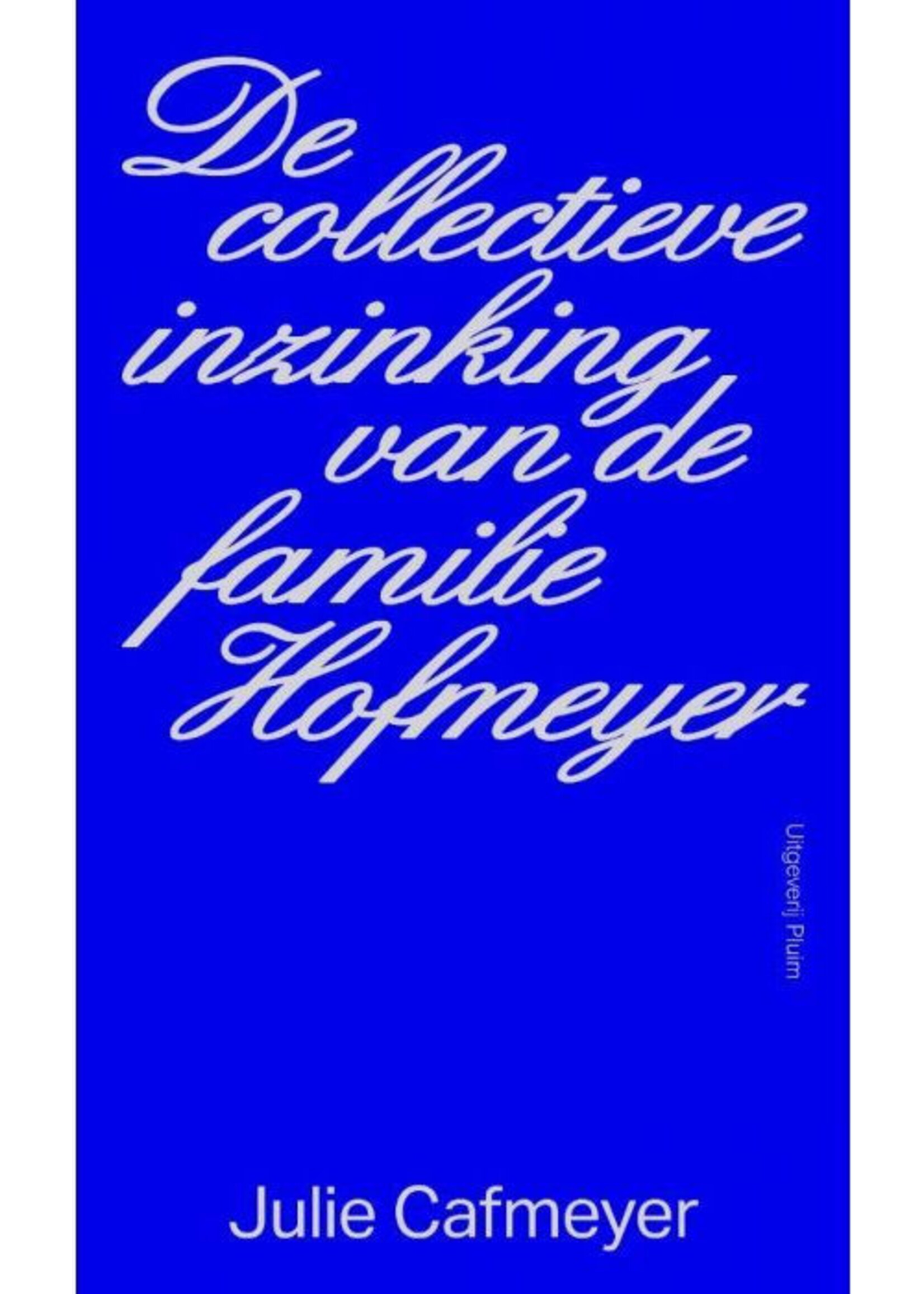 Julie Cafmeyer De collectieve inzinking van de familie Hofmeyer