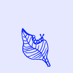 webshop