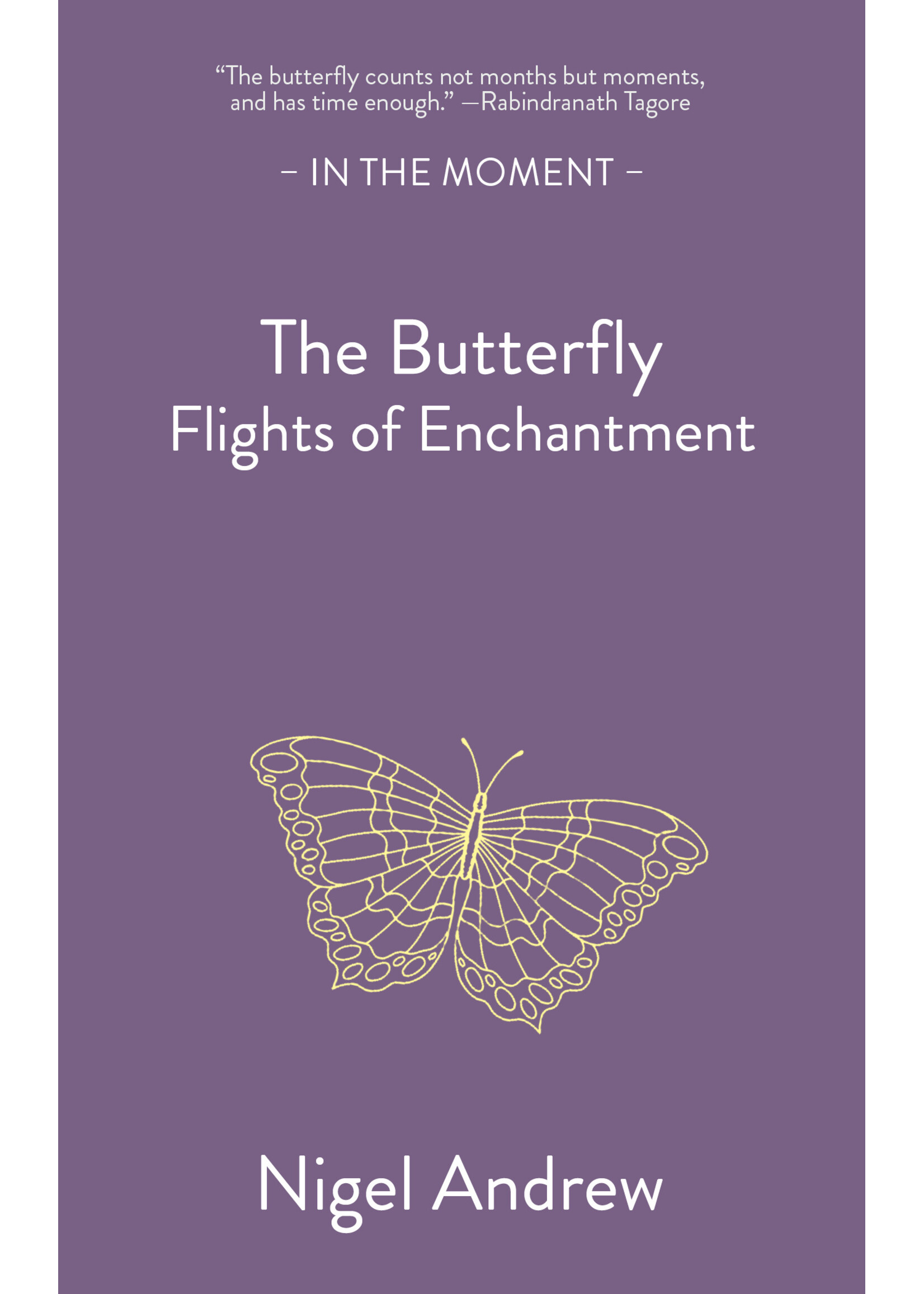 Nigel Andrew The Butterfly : Flights of Enchantment