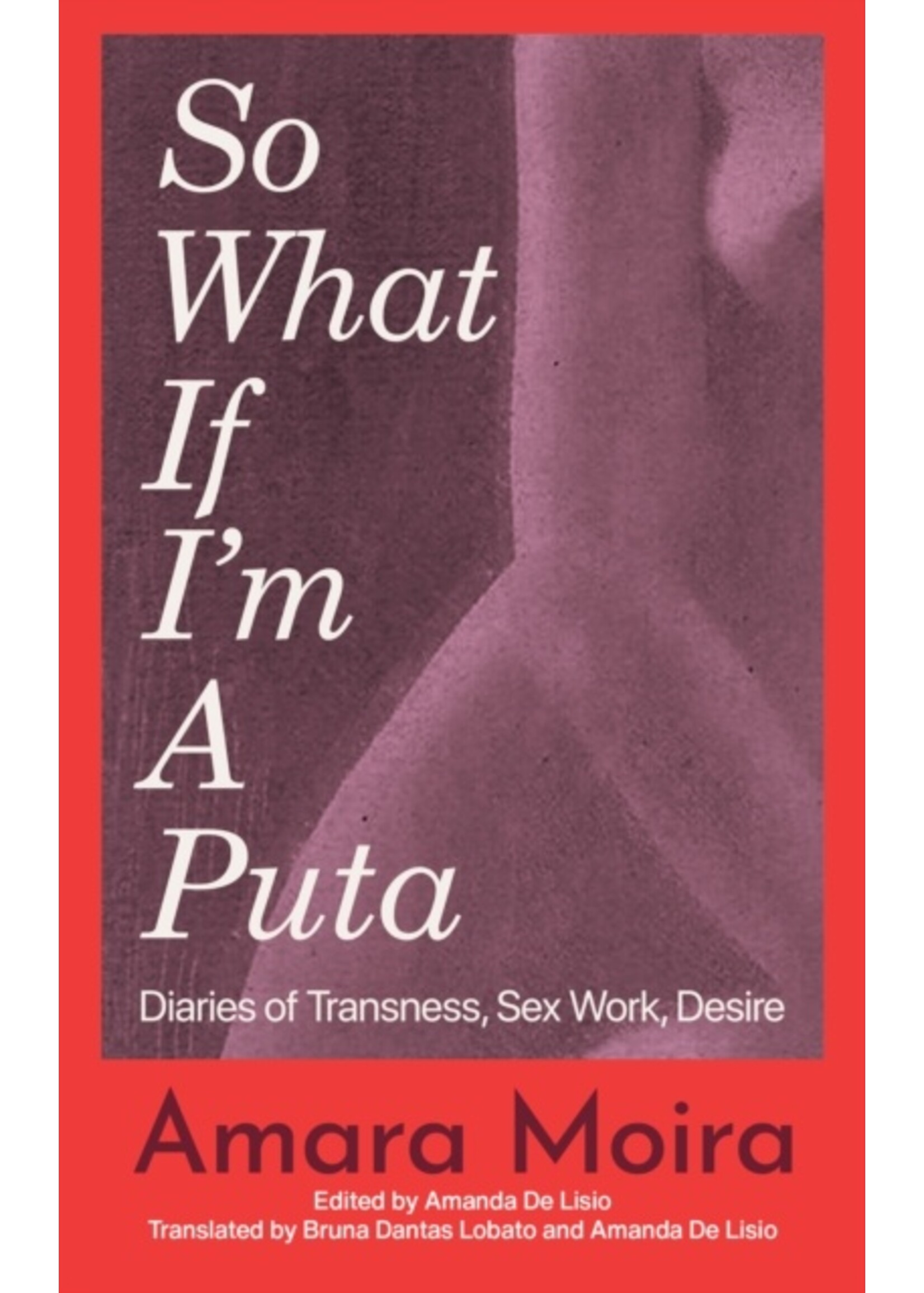 (So What) If I’m a Puta? : Diaries of Transness, Sex Work, Desire